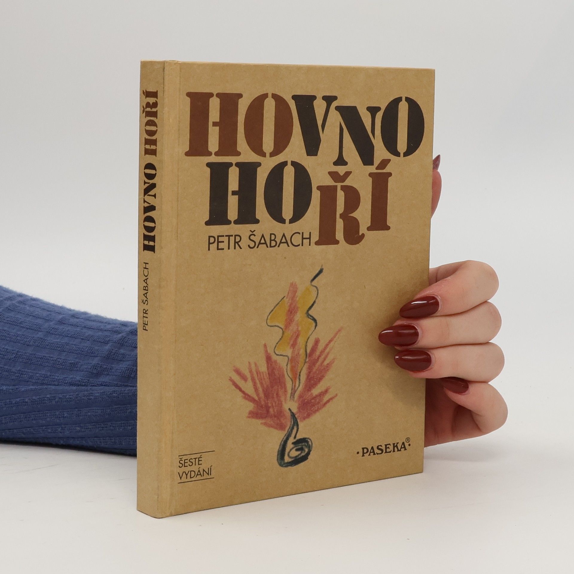 Petr Šabach Hovno hoří