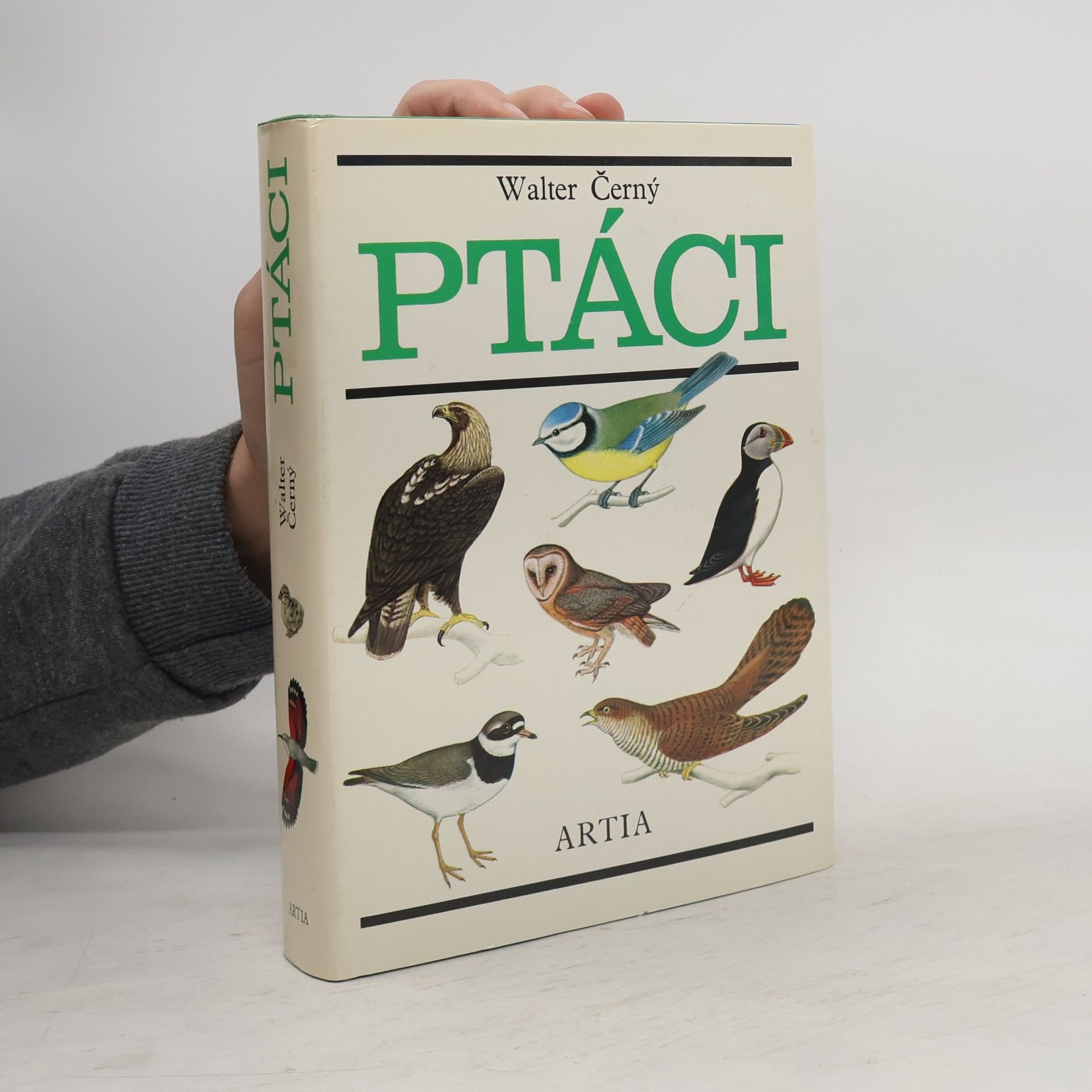Walter Černý Ptáci