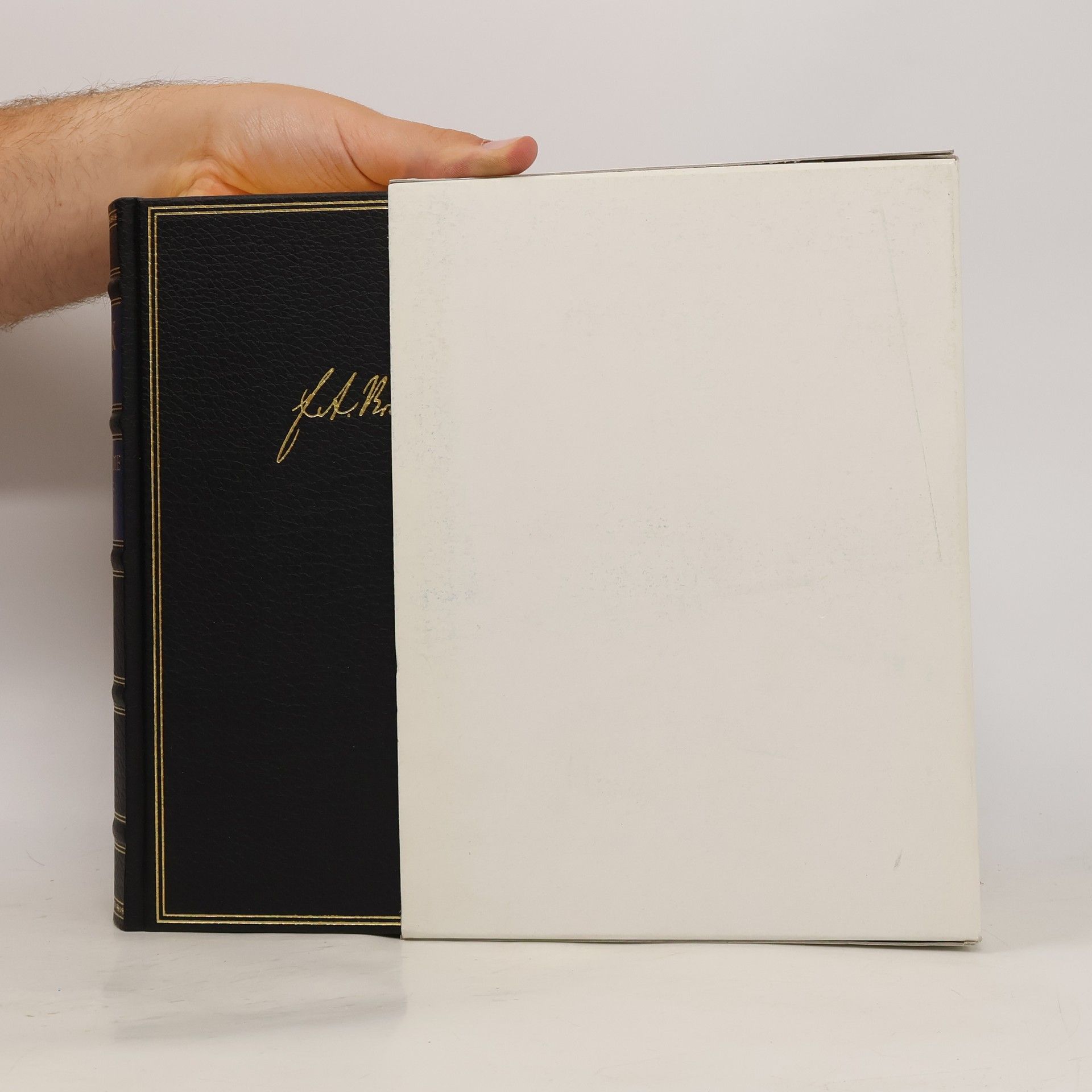 Autorenkollektiv Brockhaus Enzyklopädie der Erde 7. Afrika