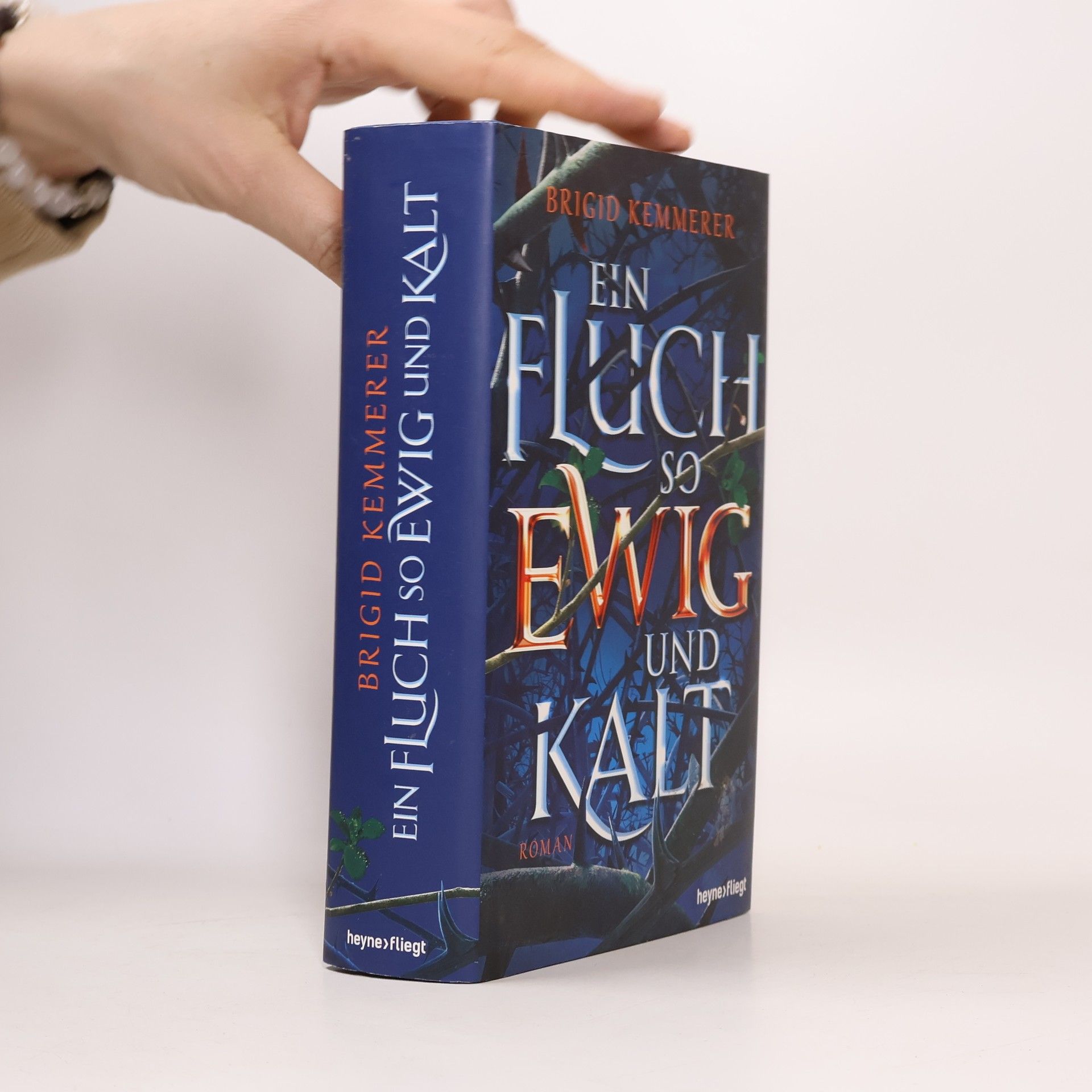Brigid Kemmerer Ein Fluch so ewig und kalt