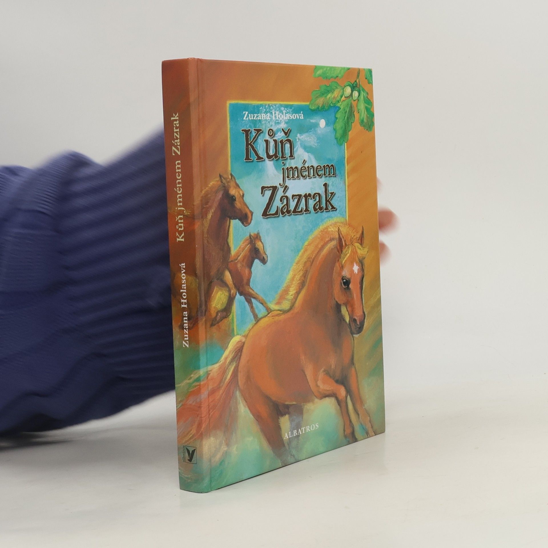 Zuzana Holasová Kůň jménem Zázrak