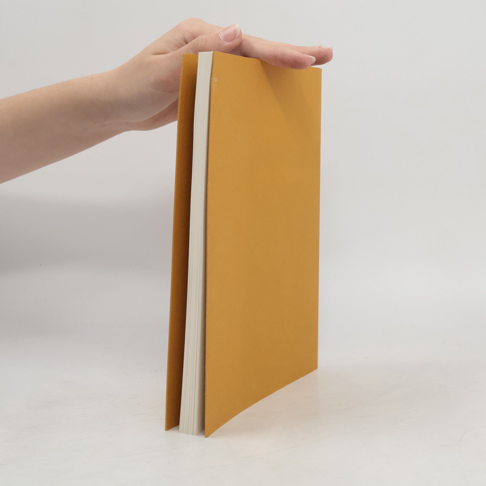 Ingrid Goritschnig Die Signatur der Seele