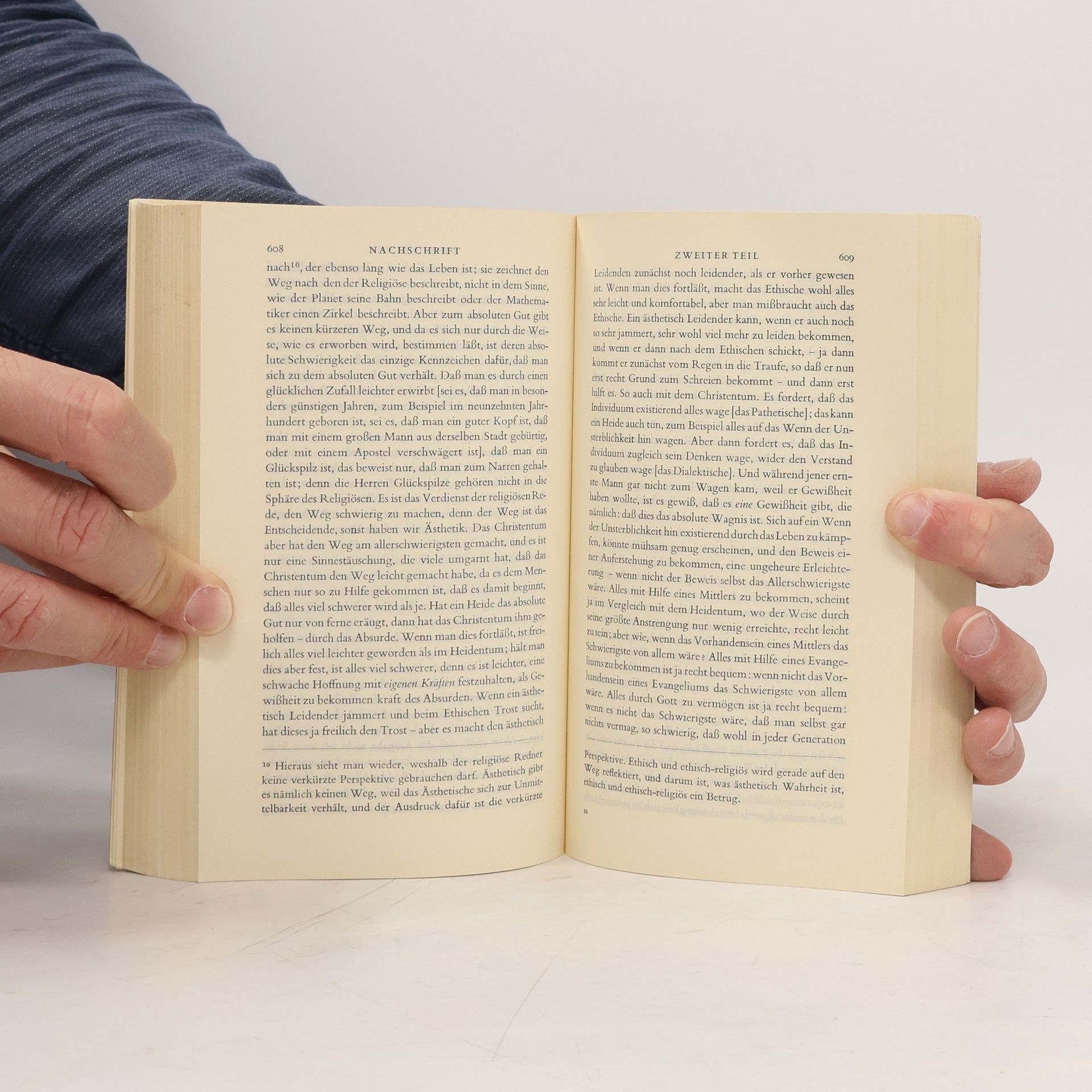 Soren Kierkegaard Philosophische Brosamen und unwissenschaftliche Nachschrift