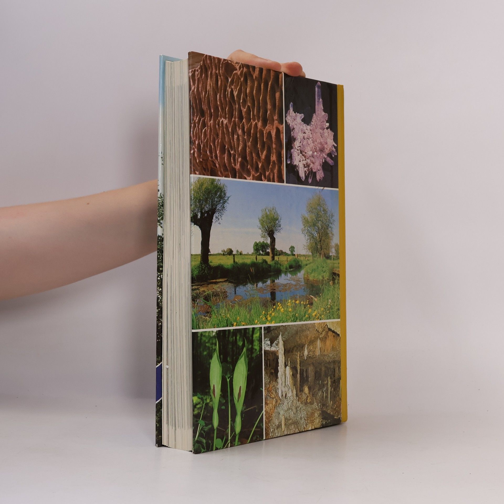 Uwe Anhauser Naturwunder unserer Heimat