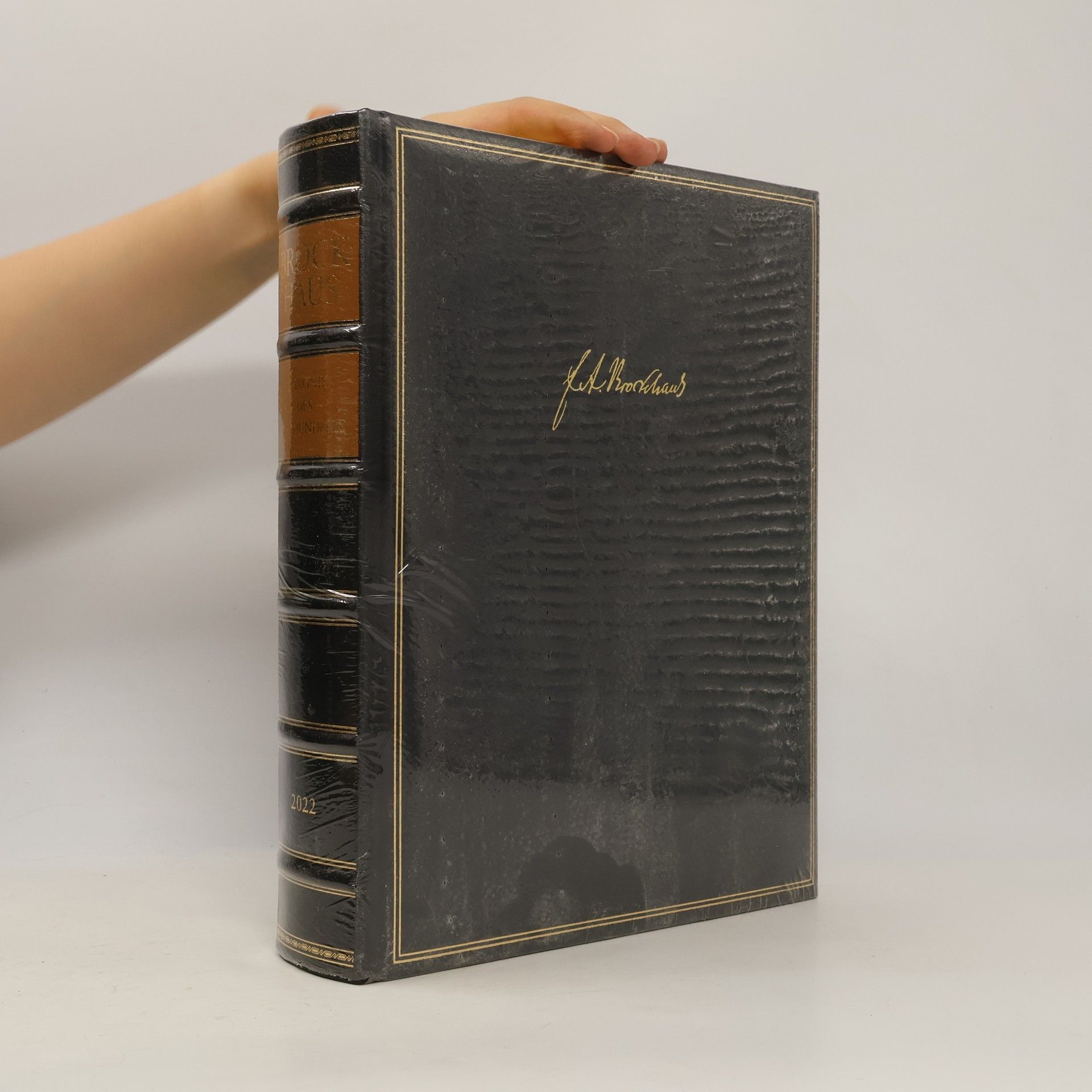 Autorenkollektiv Brockhaus. Chronik des Jahrhunderts