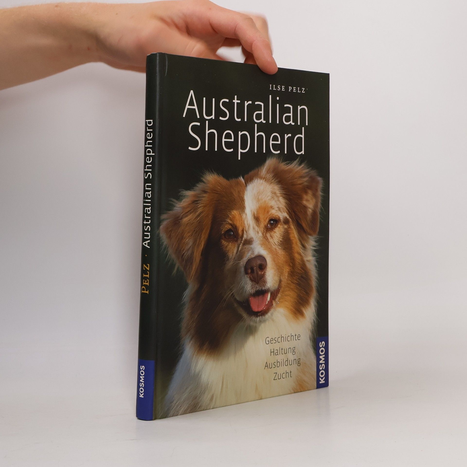 Australian Shepherd