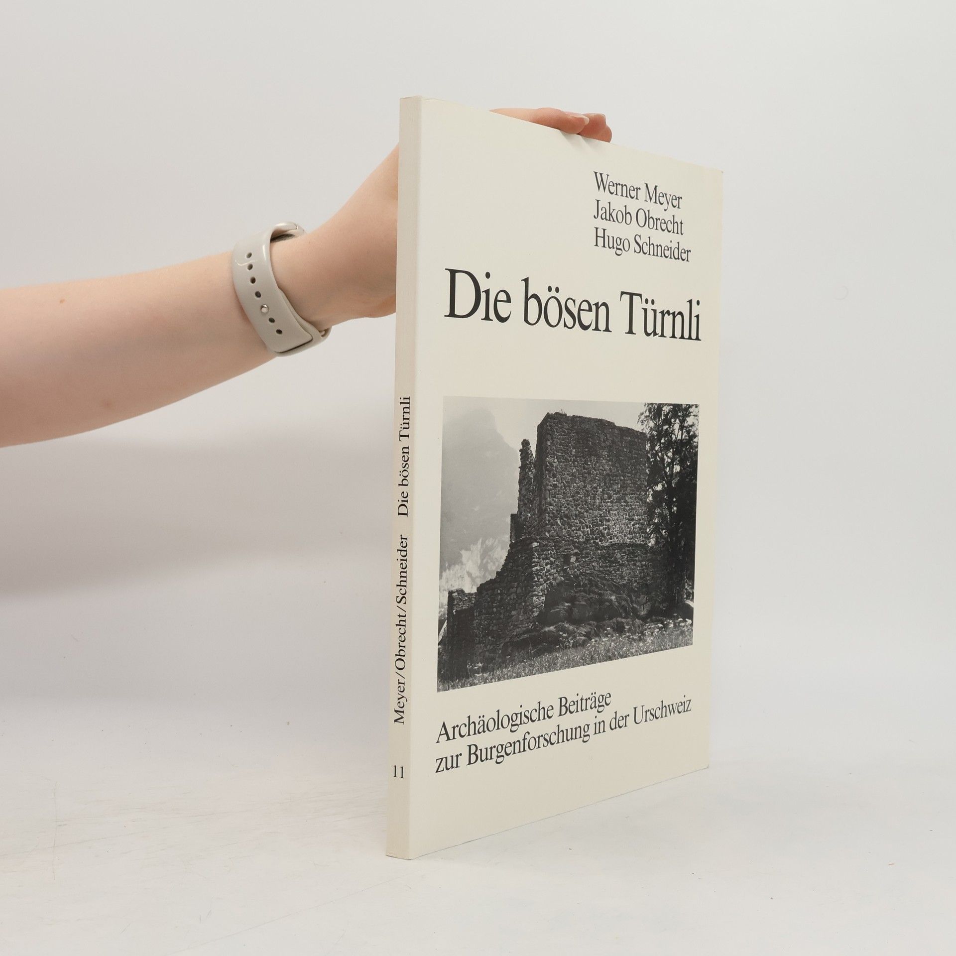 Werner Meyer-Larsen Die bösen Türnli