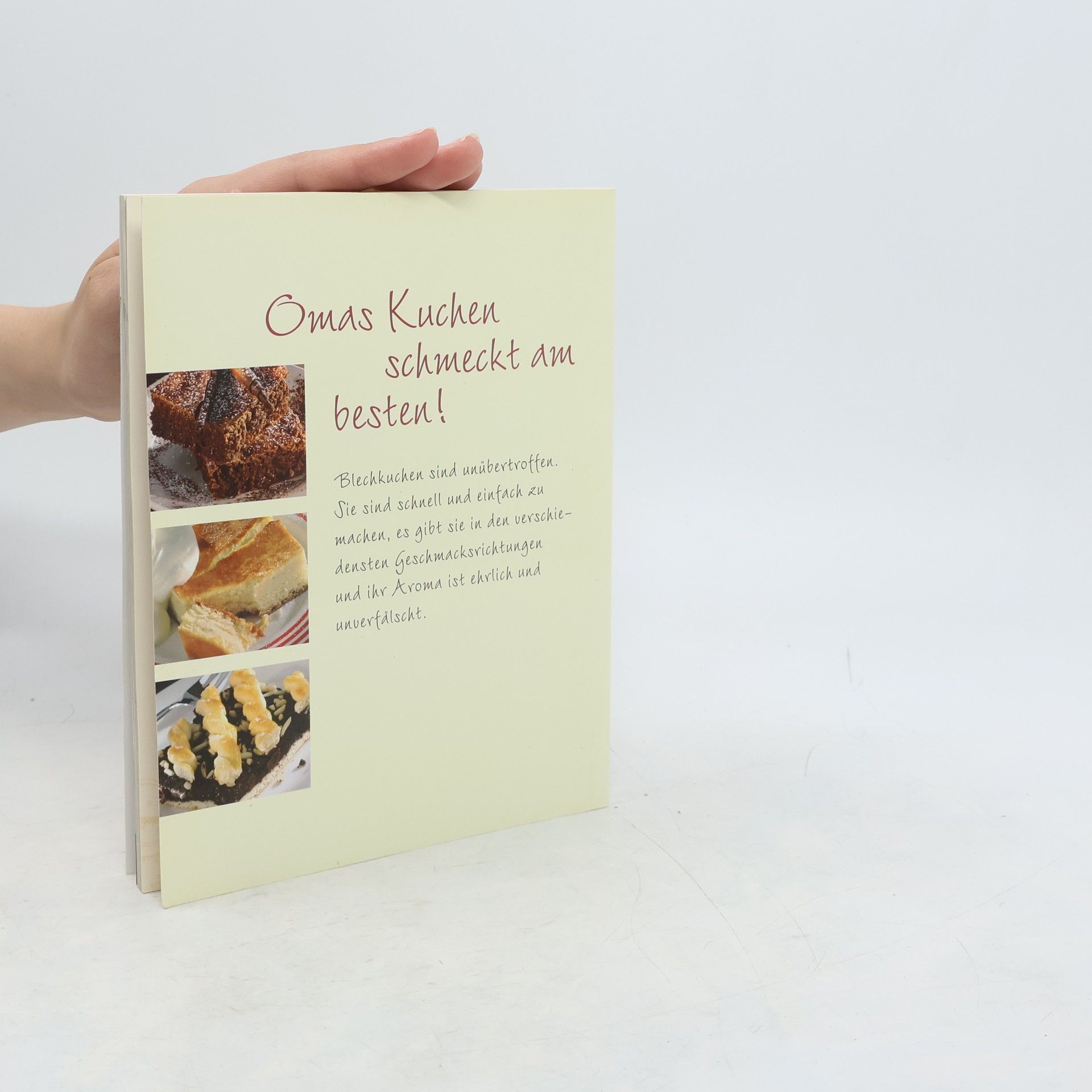 Autorenkollektiv Kleine Blechkuchen