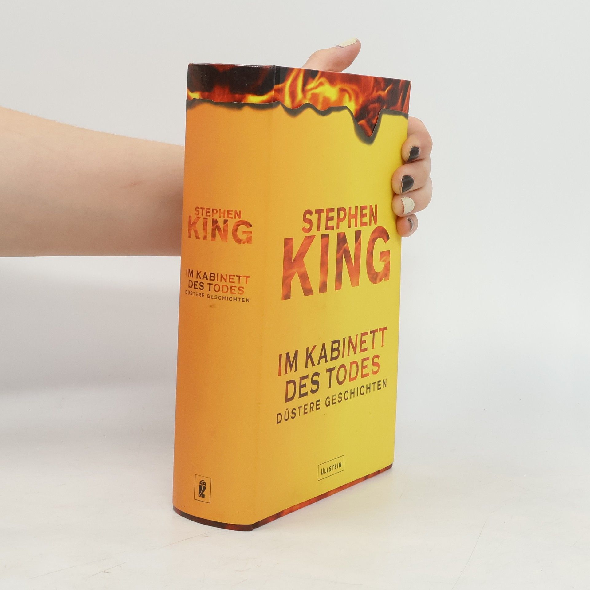 Stephen King Im Kabinett des Todes