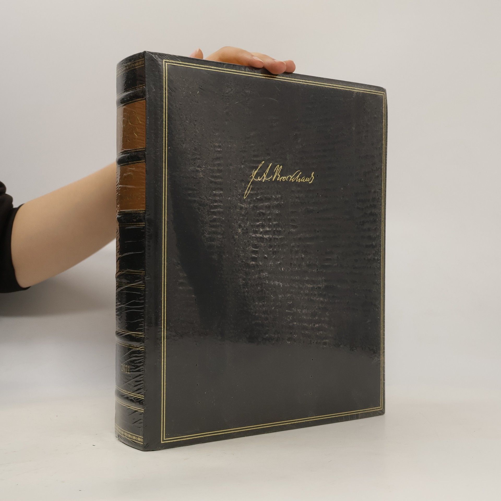 Autorenkollektiv Brockhaus - Chronik des Jahrhunderts