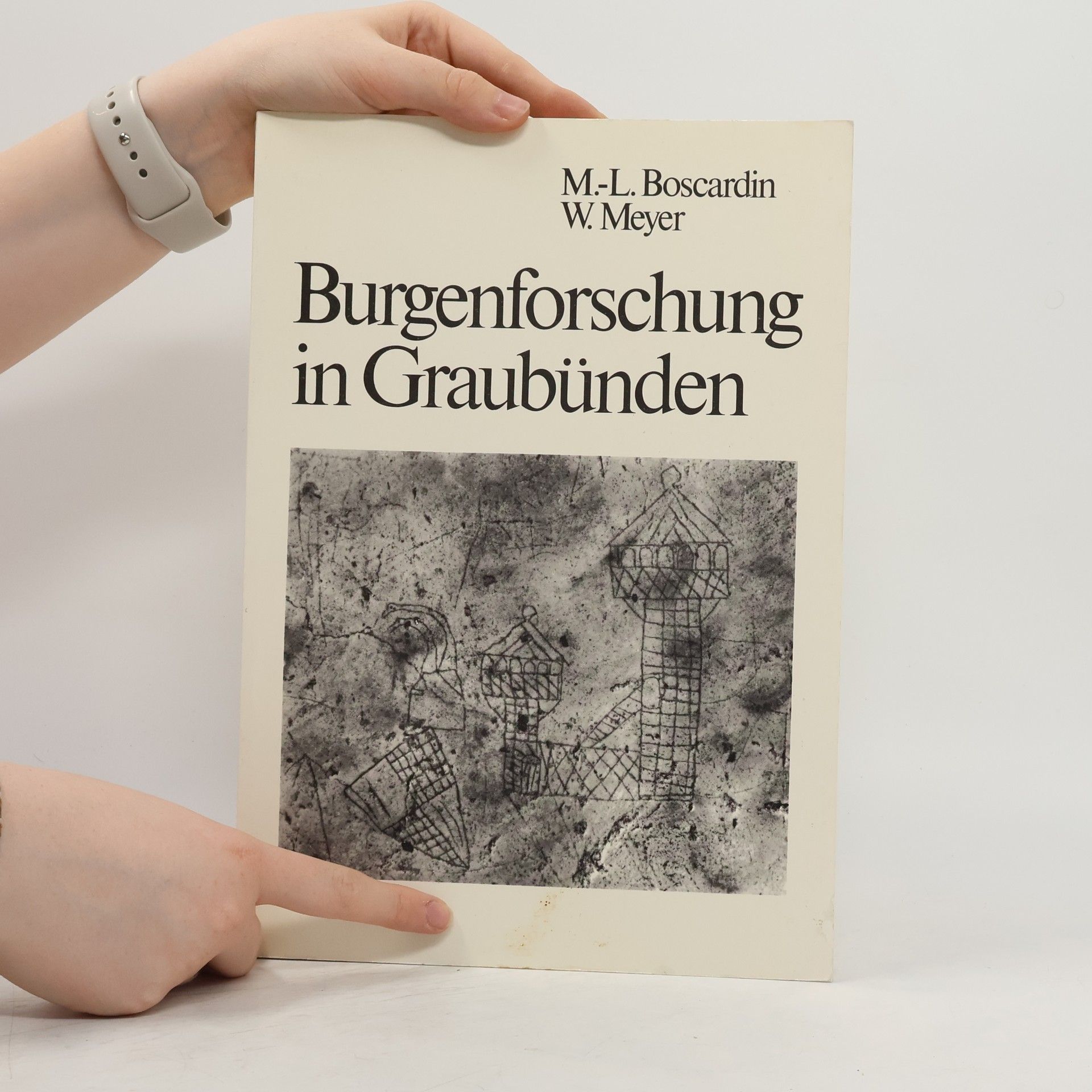 Maria Letizia Heyer Boscardin Burgenforschung in Graubünden