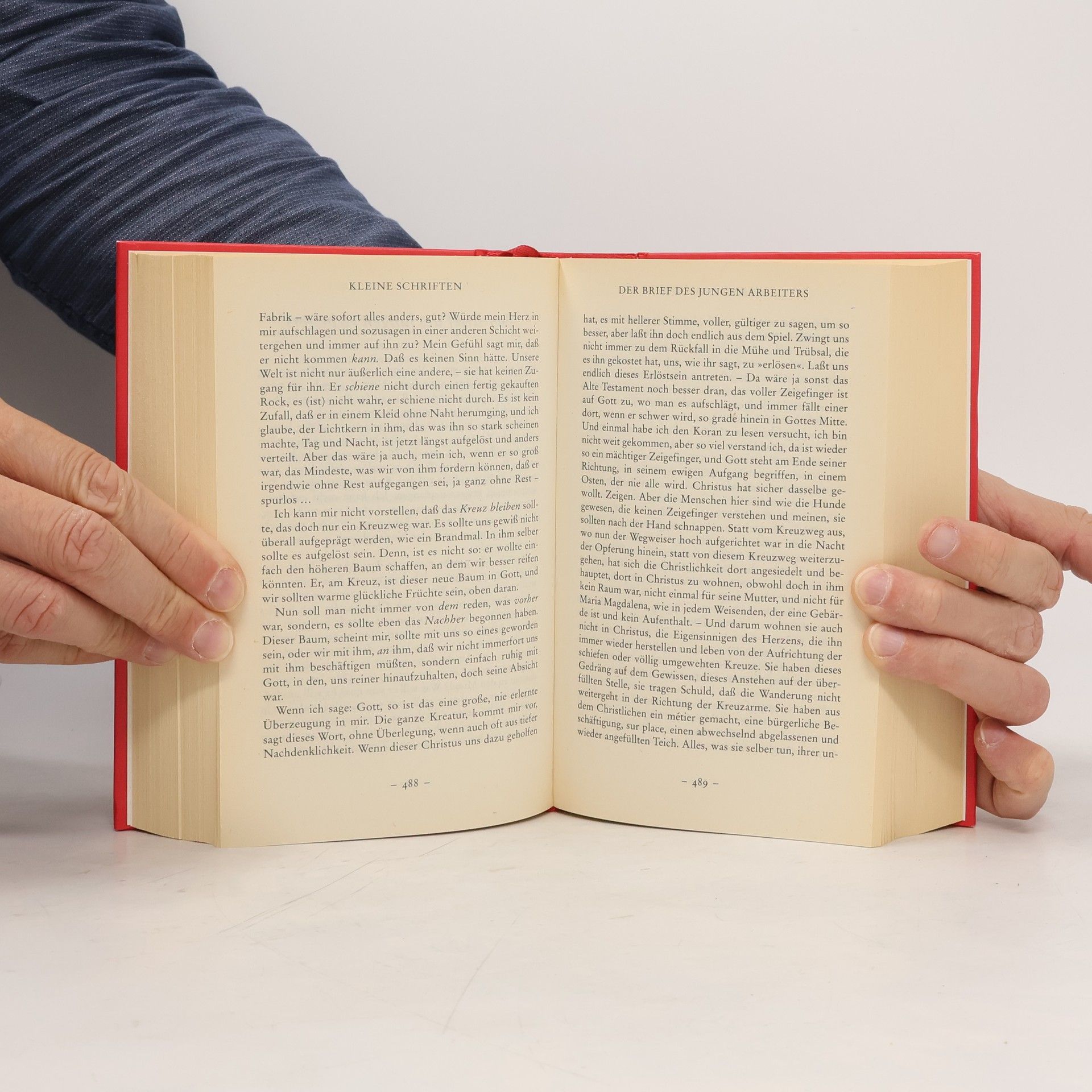 Rainer Maria Rilke Gedichte und Prosa