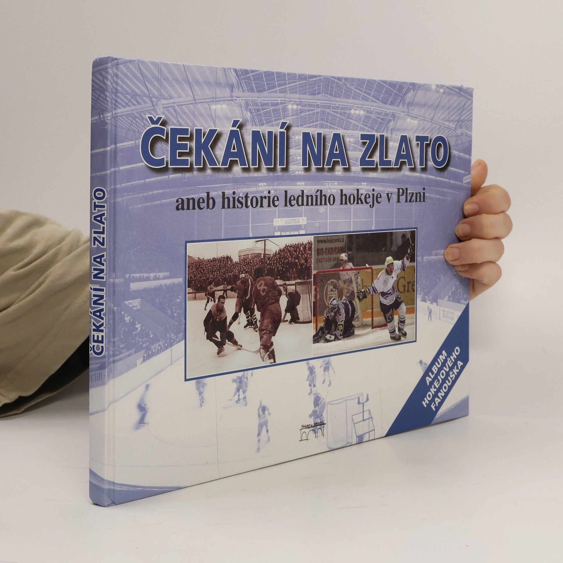 Jiří Orna Čekání na zlato, aneb, Historie ledního hokeje v Plzni