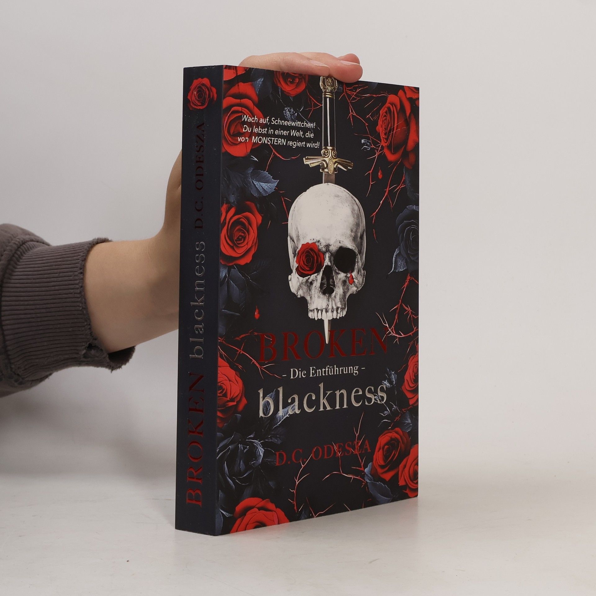 Broken blackness. Die Entführung