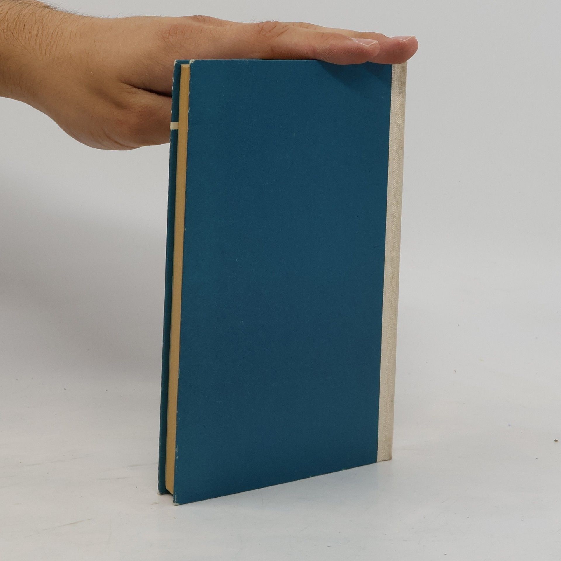 Kolektiv autorů Französisches Gesprächsbuch