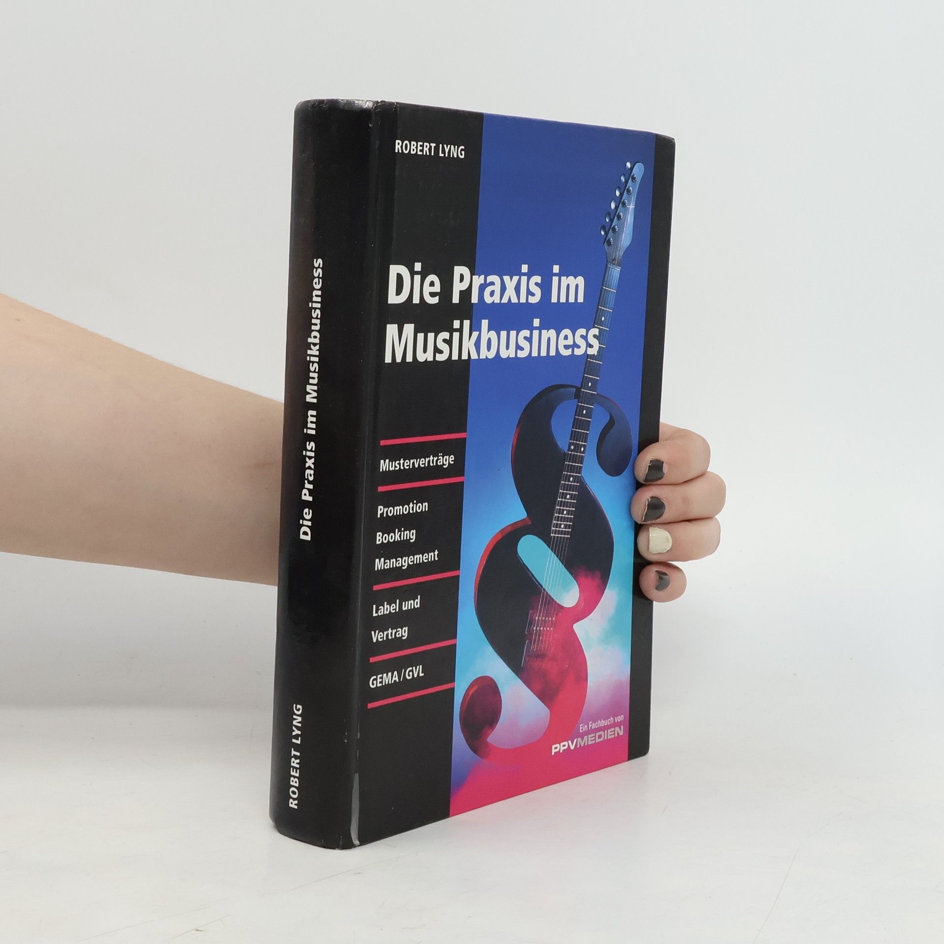 Robert Lyng Die Praxis im Musikbusiness
