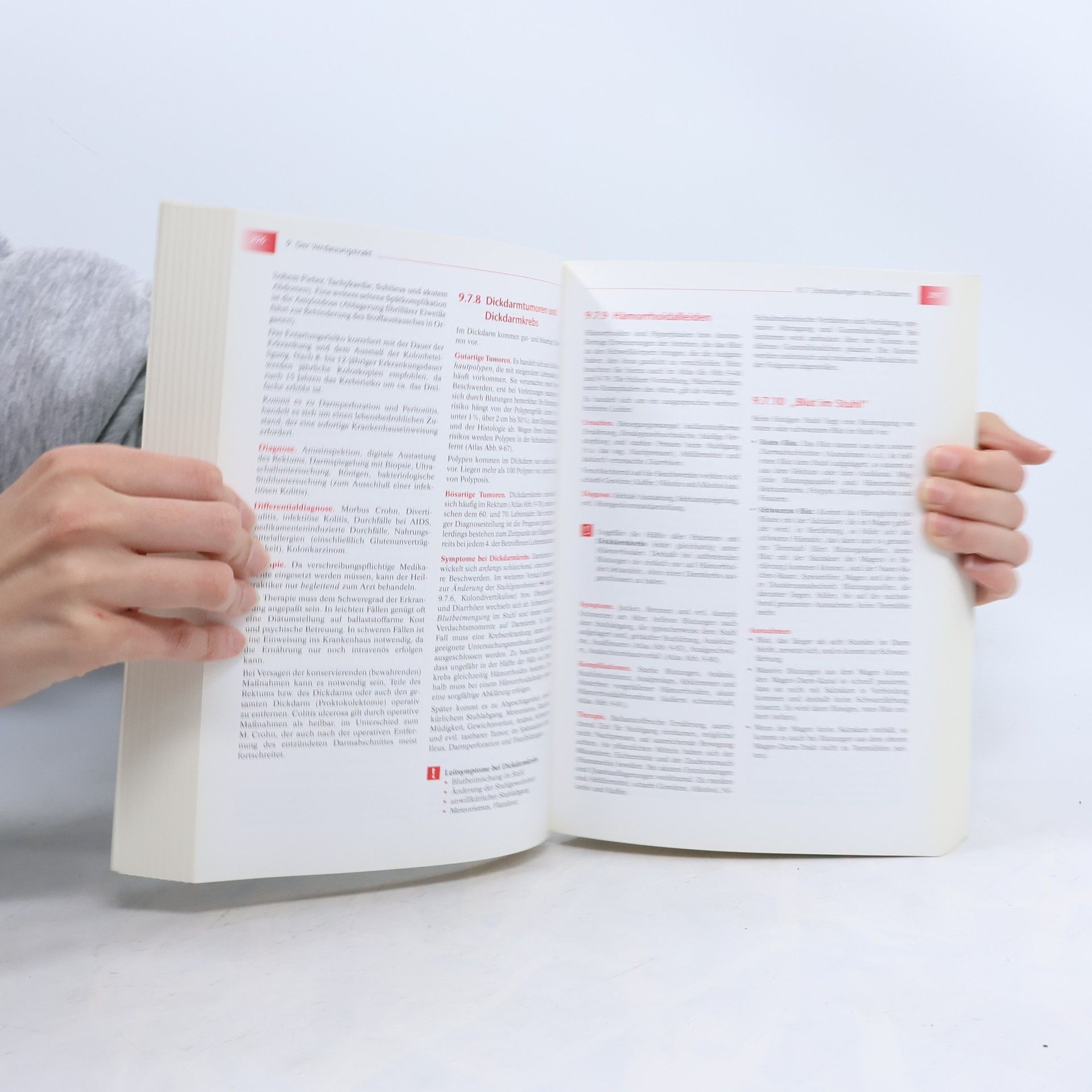 Isolde Richter Lehrbuch für Heilpraktiker