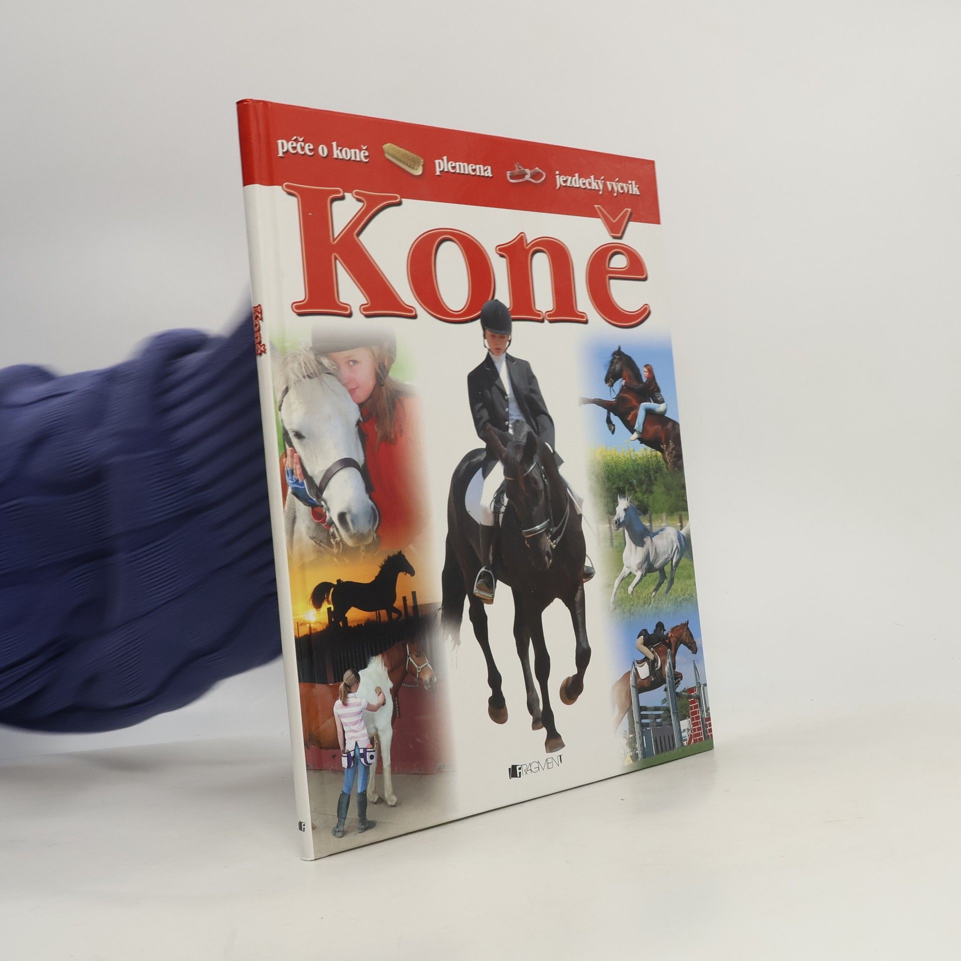 Koně