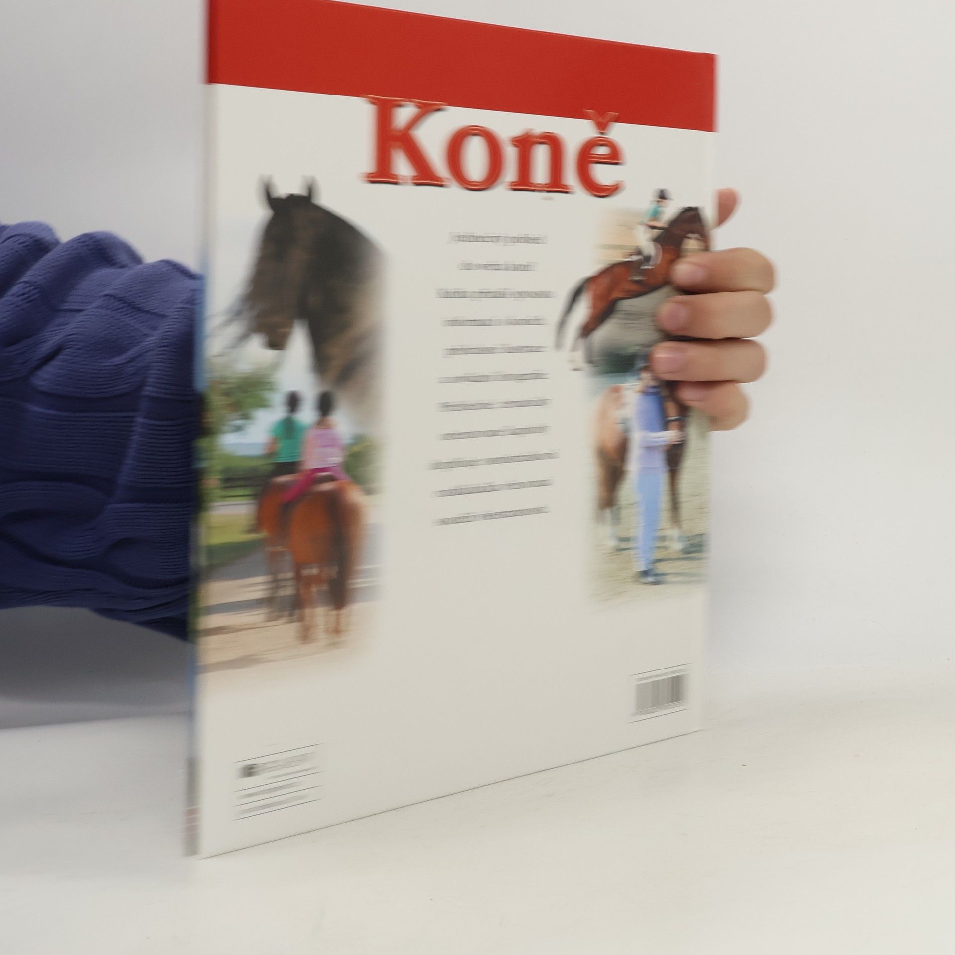 Jane Parker Koně