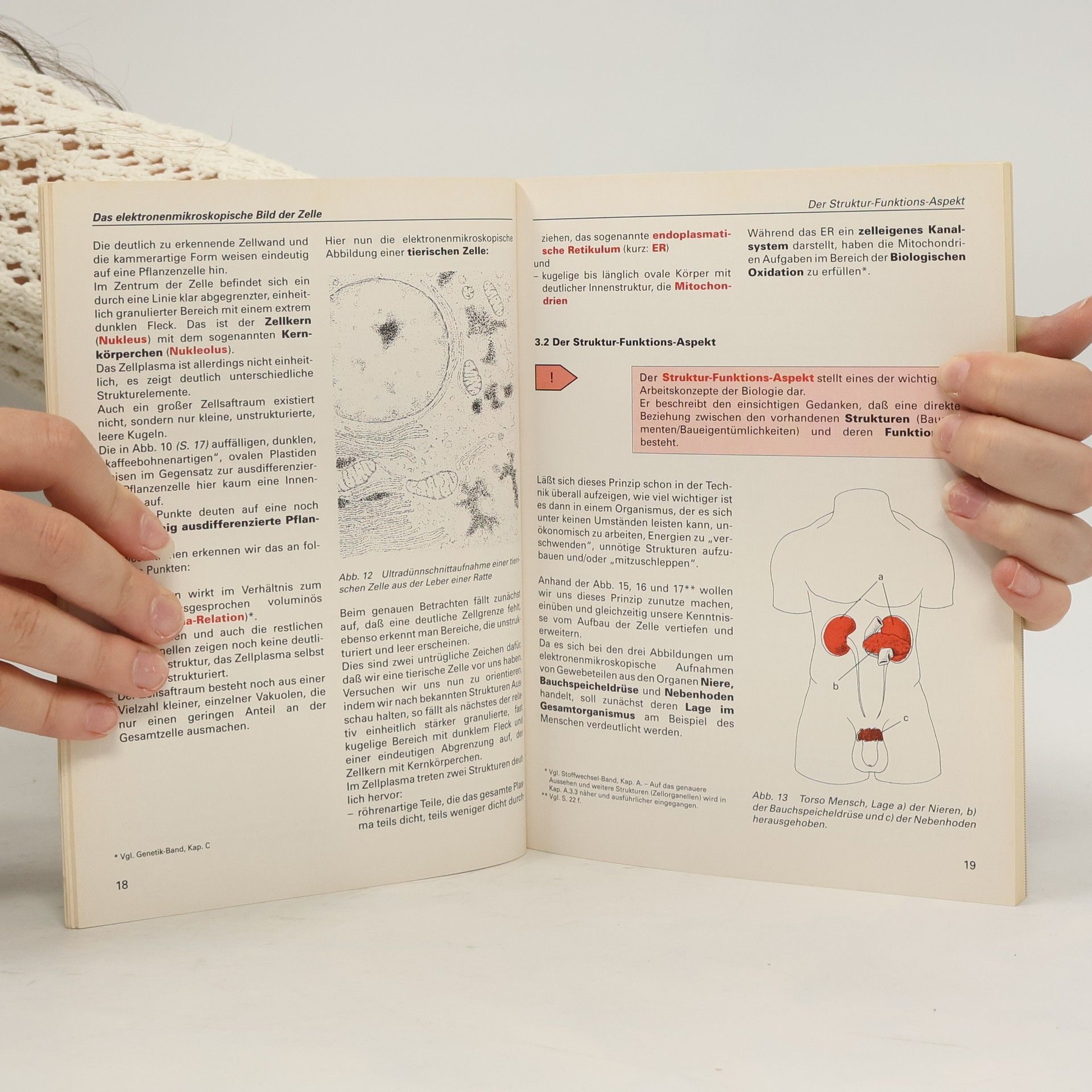 Reiner Kleinert Cytologie