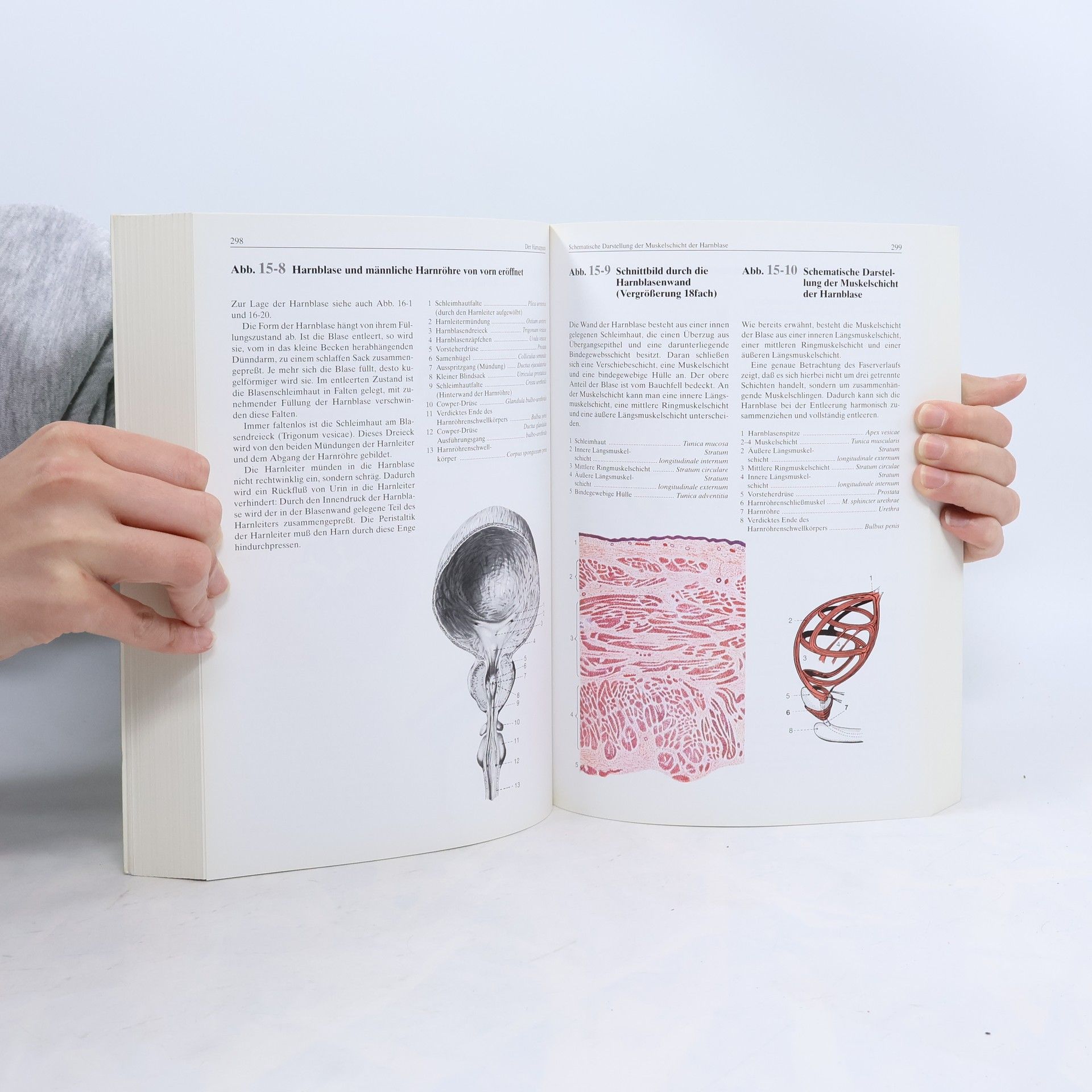 Isolde Richter Atlas für Heilpraktiker. Anatomie, Physiologie, Krankheitsbilder.