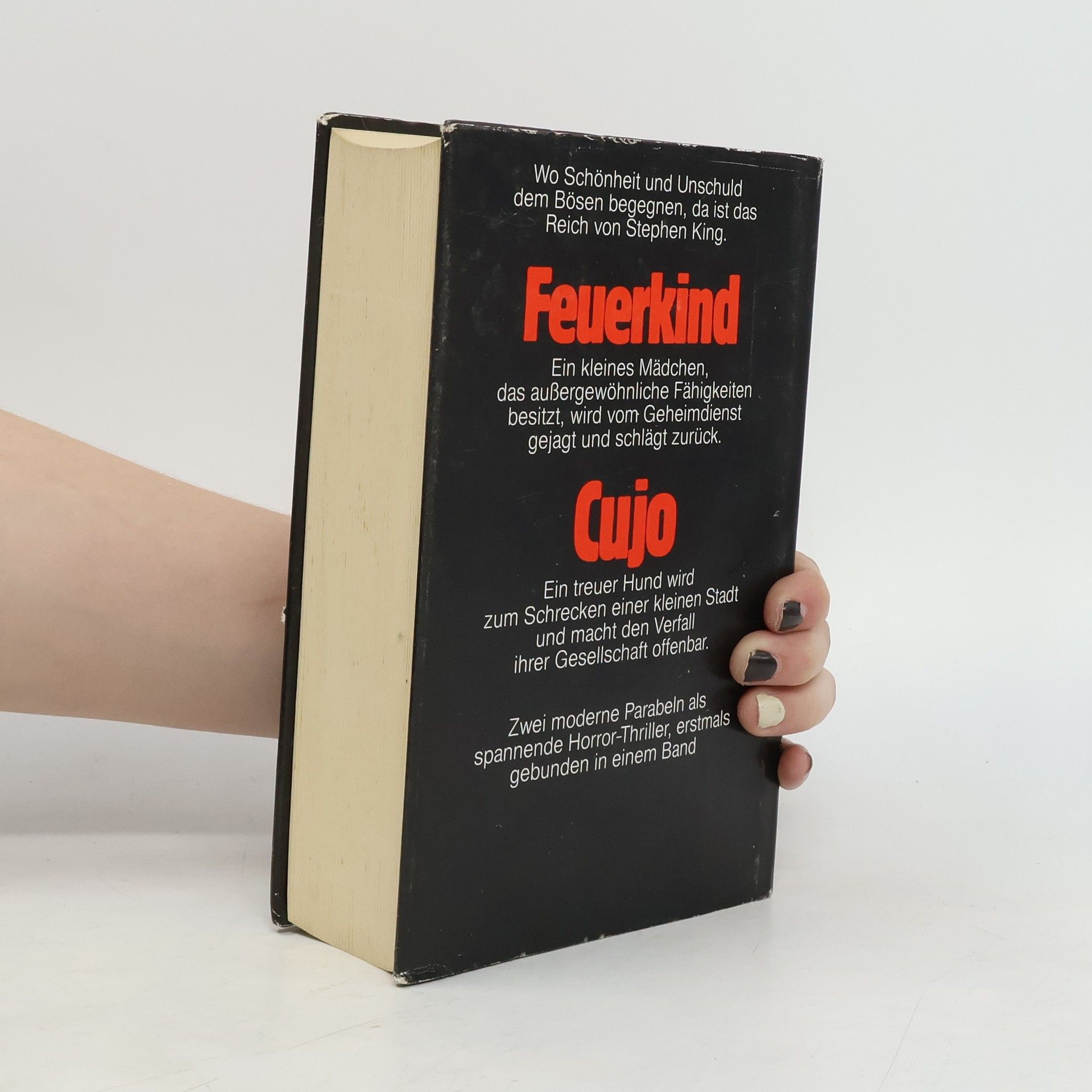 Stephen King Feuerkind. Cujo
