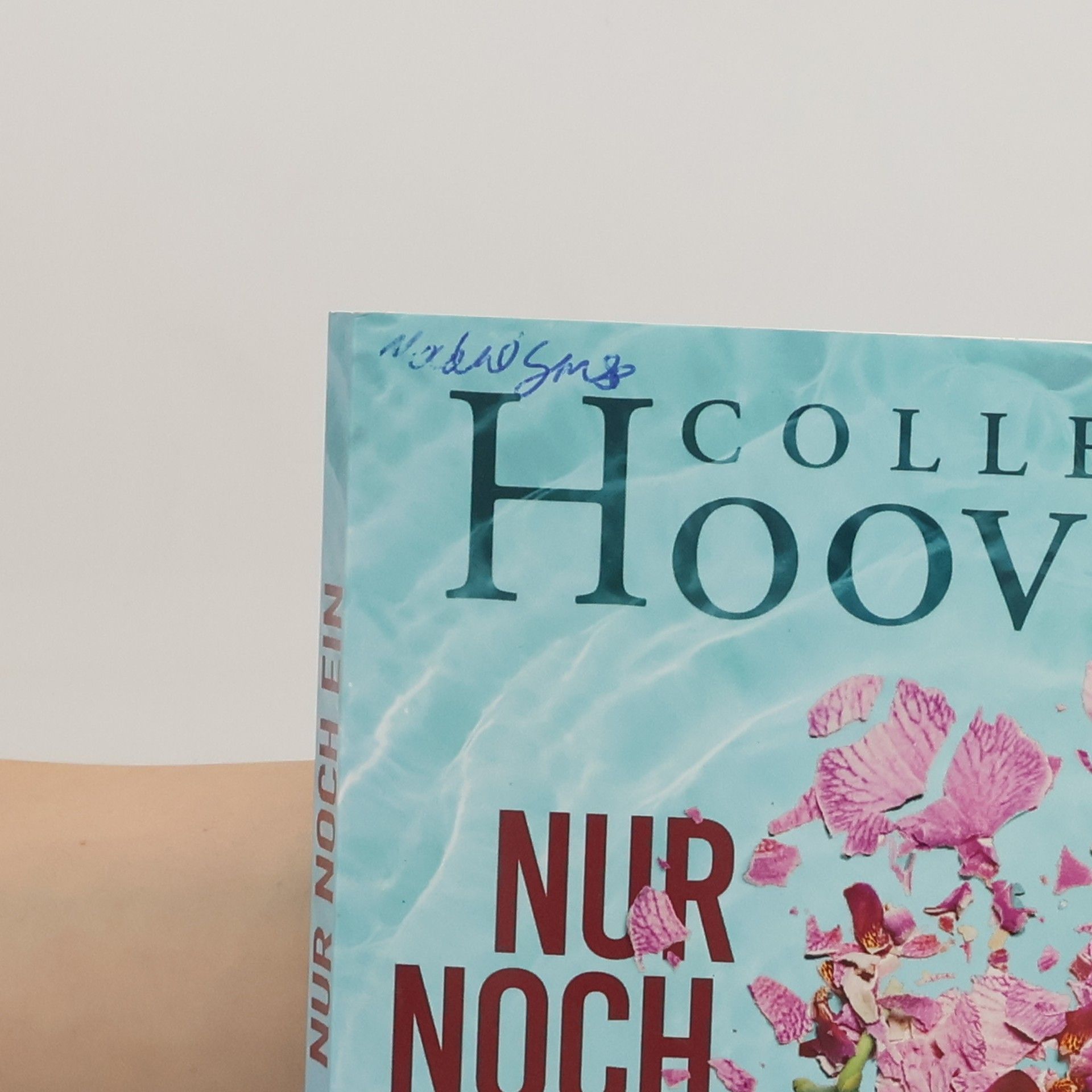 Colleen Hoover Nur noch ein einziges Mal