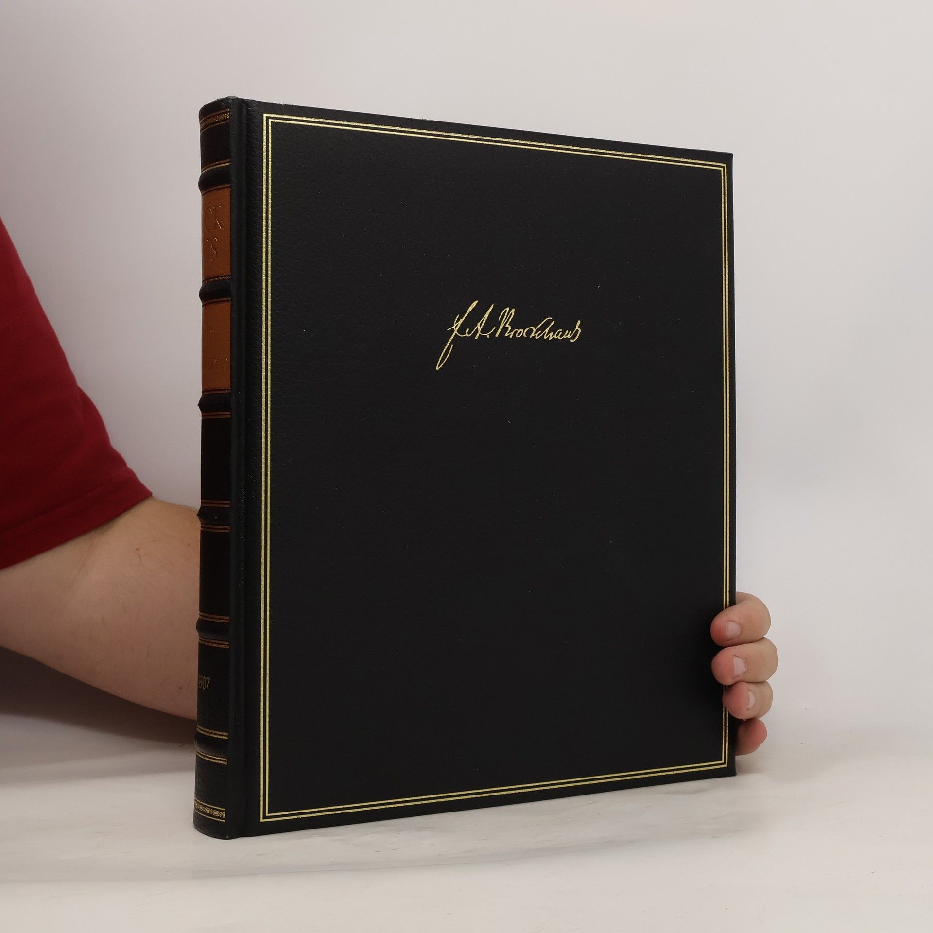 Die Brockhaus Chronik des 20. Jahrhunderts: 1904-1907