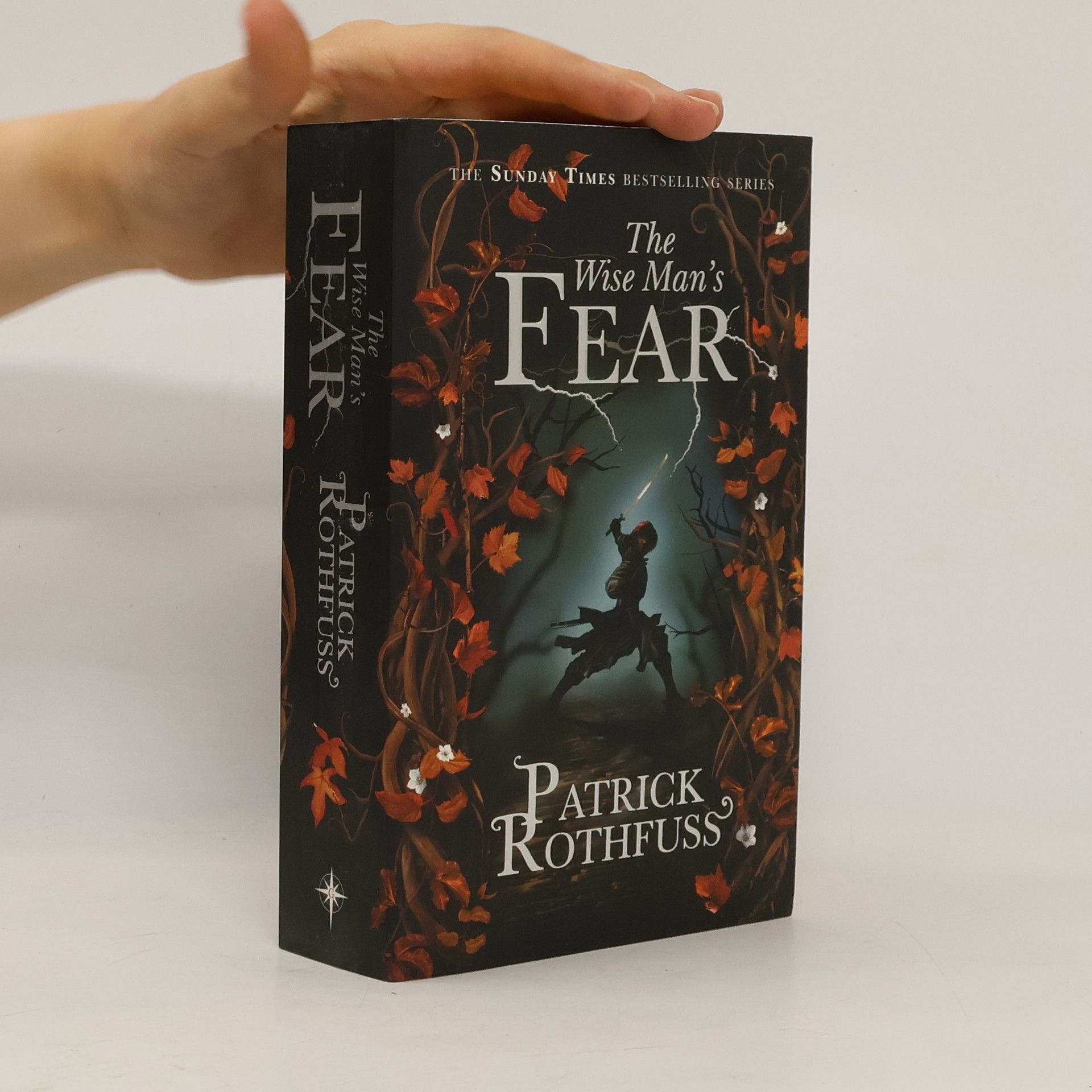 Patrick Rothfuss The Wise Man's Fear