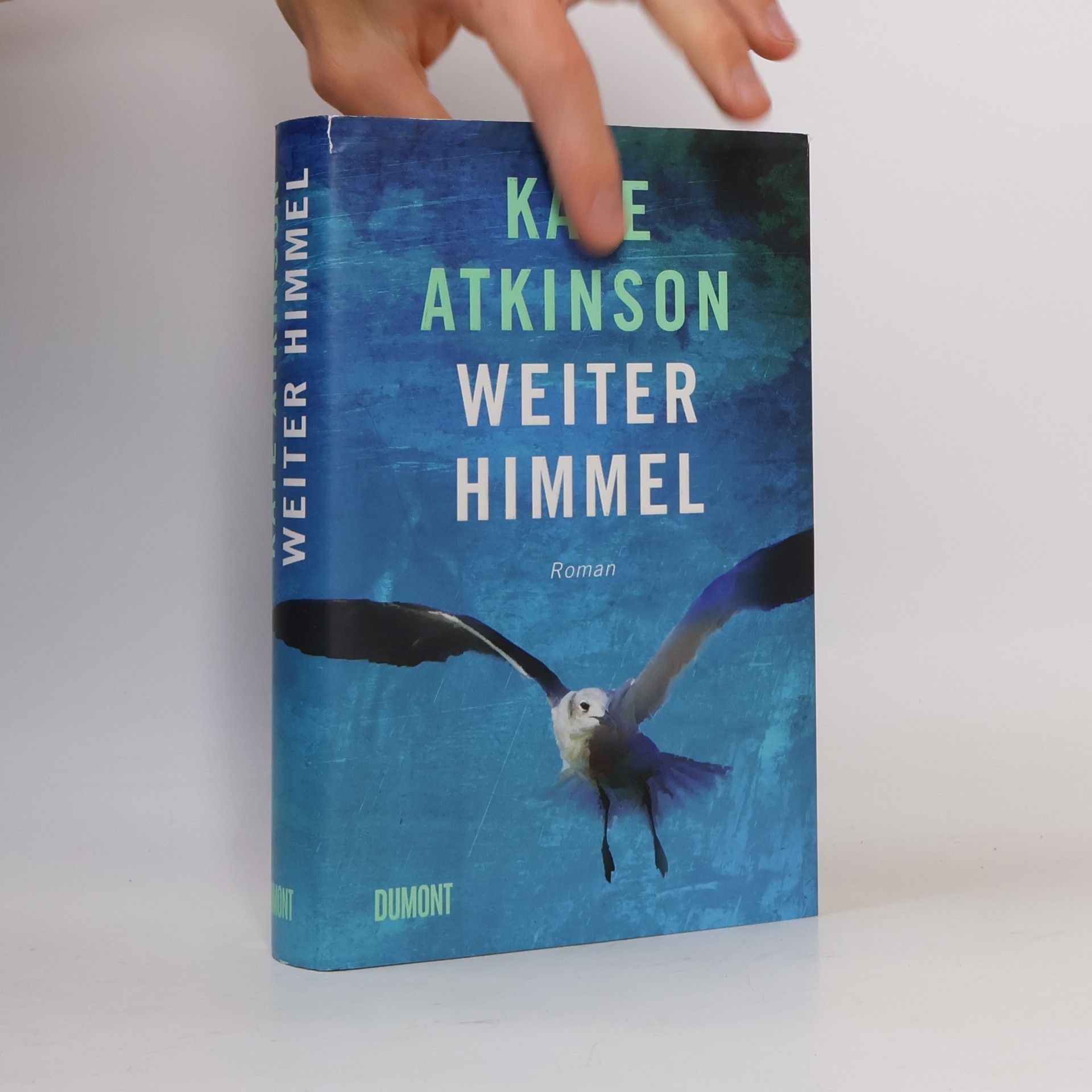 Kate Atkinson Weiter Himmel