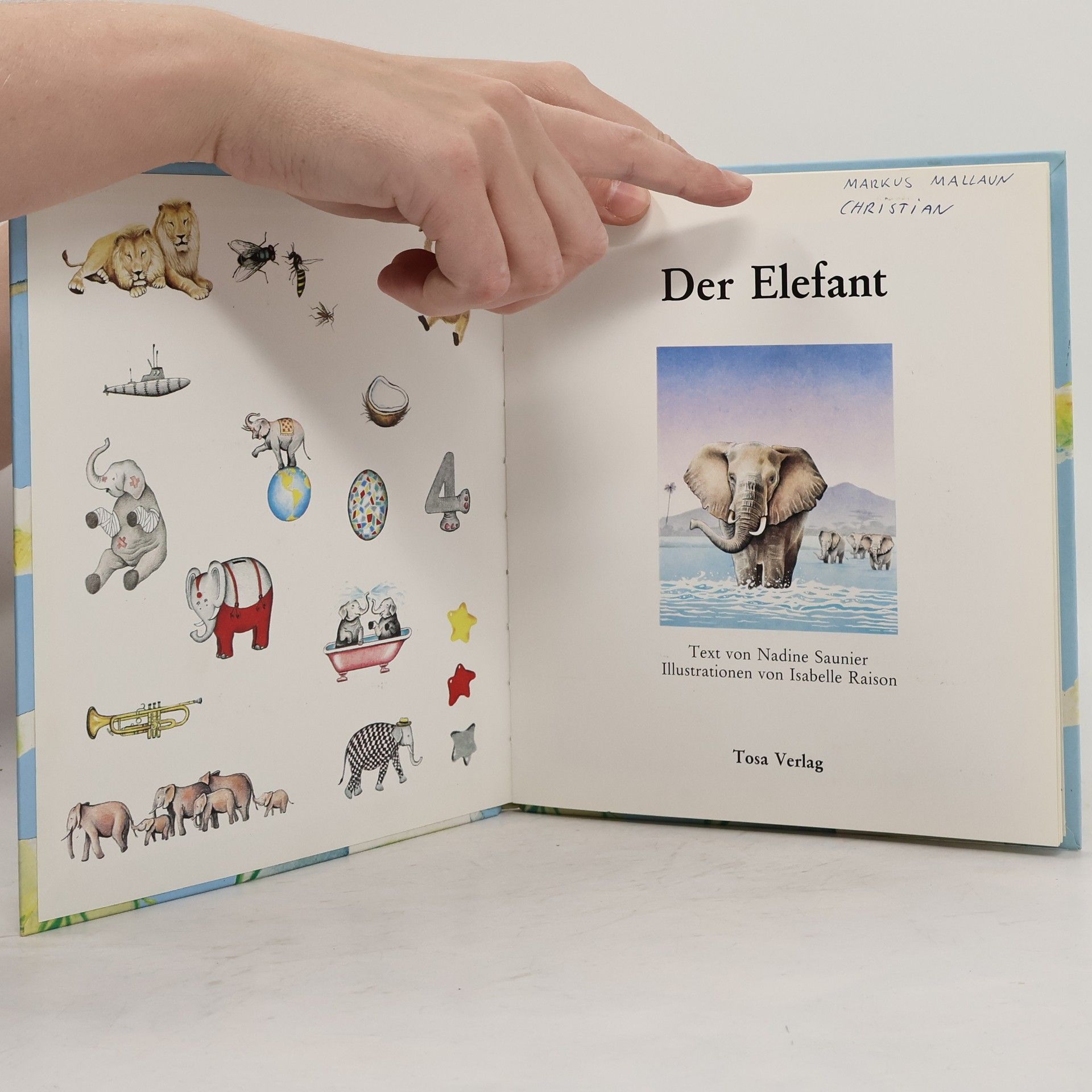 Nadine Saunier Der Elefant