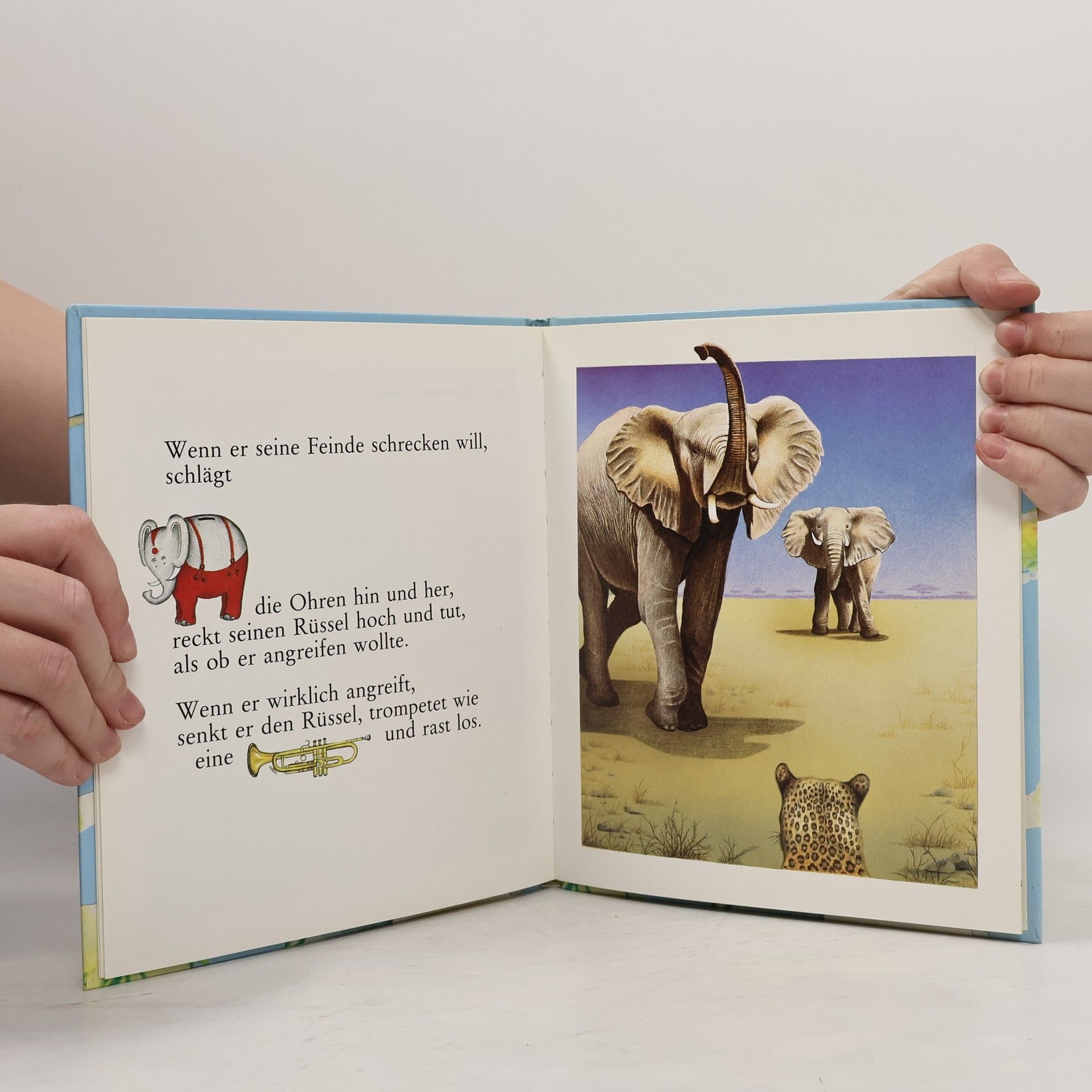 Nadine Saunier Der Elefant