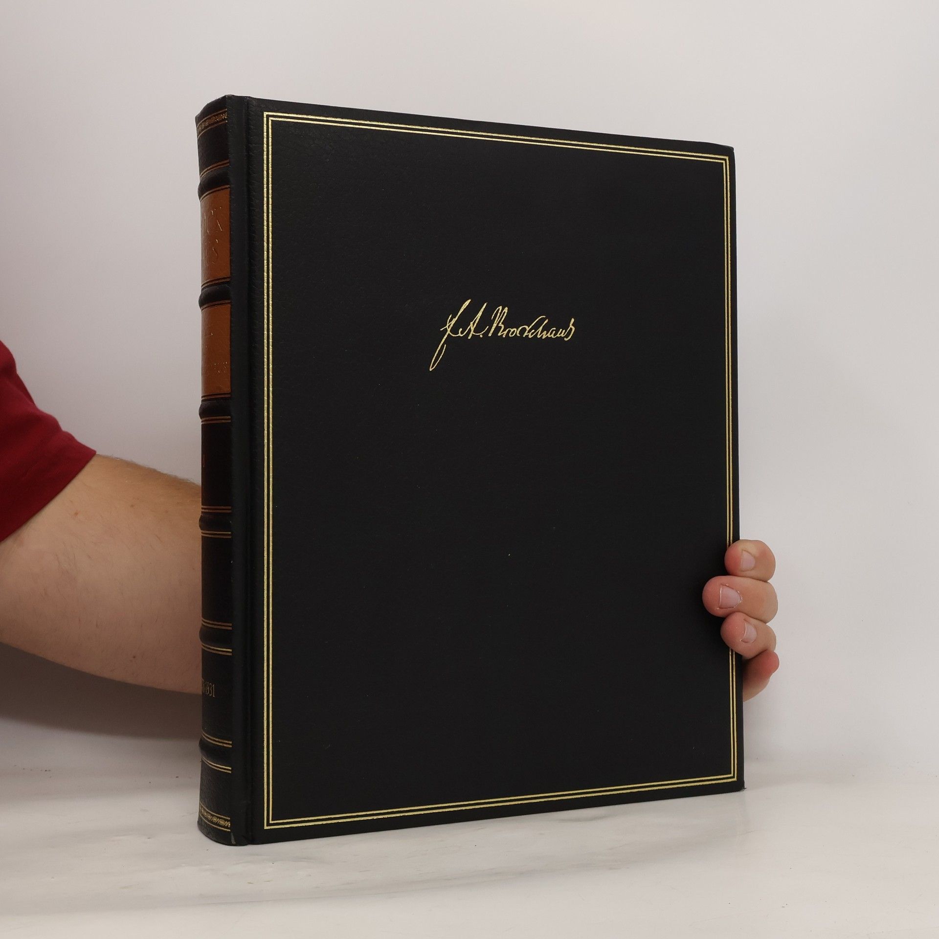 Die Brockhaus Chronik des 20. Jahrhunderts (1928-1931)