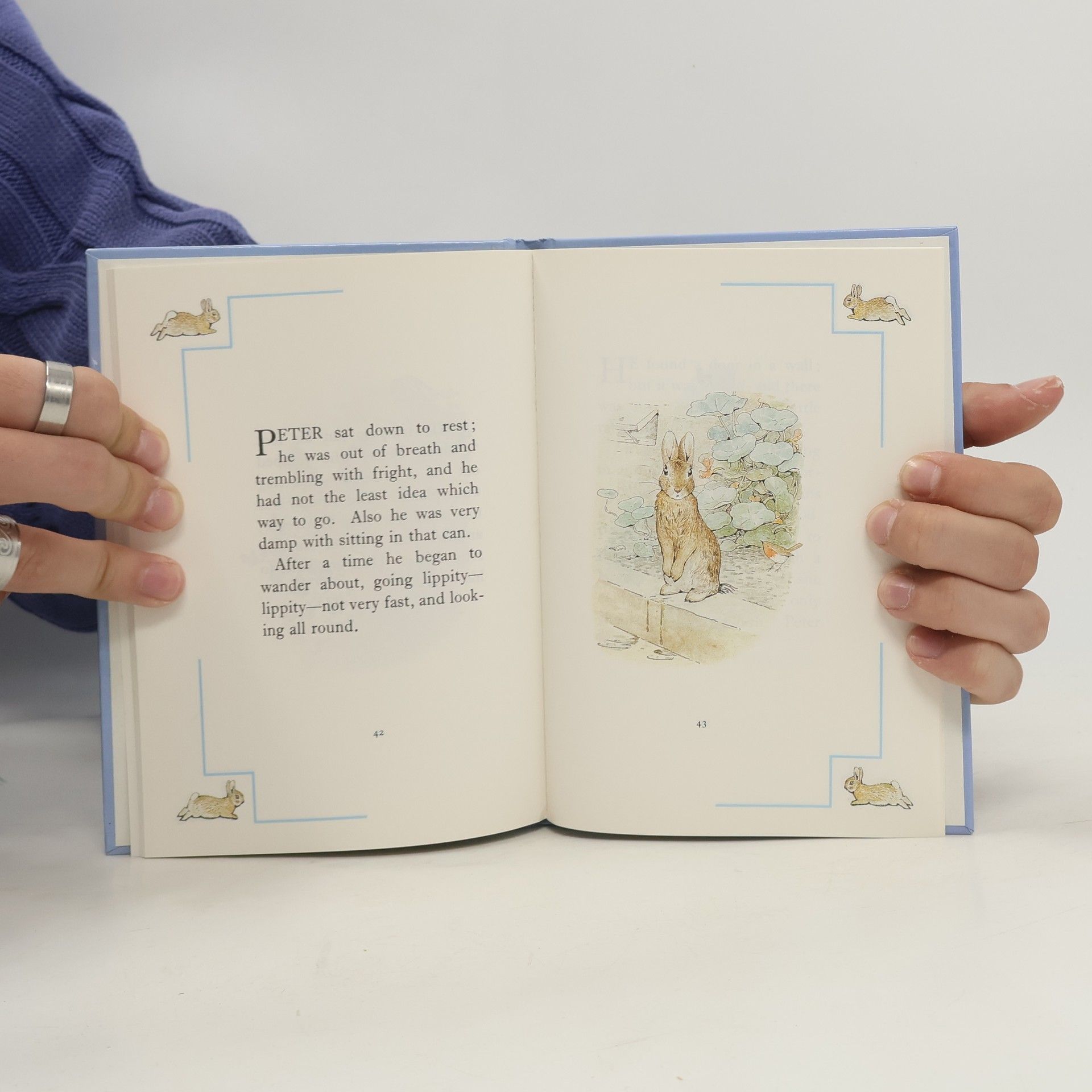 Beatrix Potter The Tale of Peter Rabbit