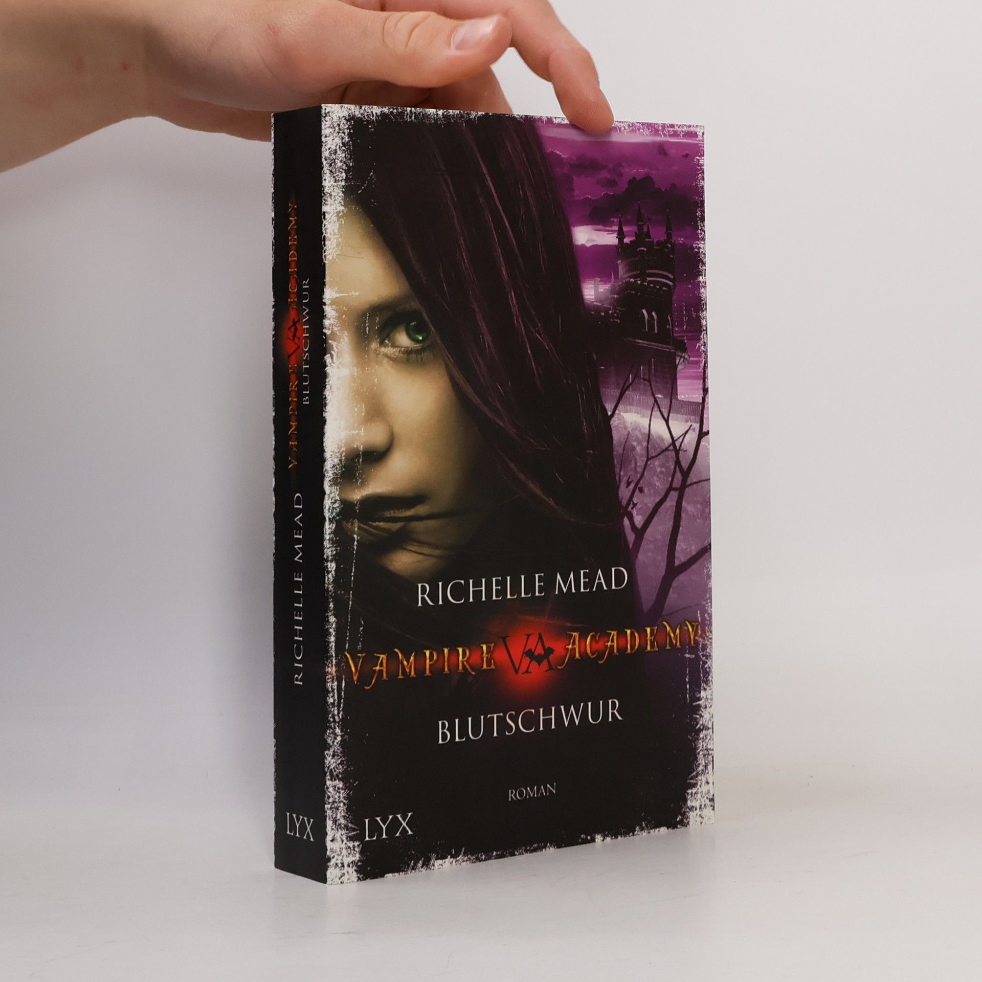 Richelle Mead Vampire Academy. Blutschwur