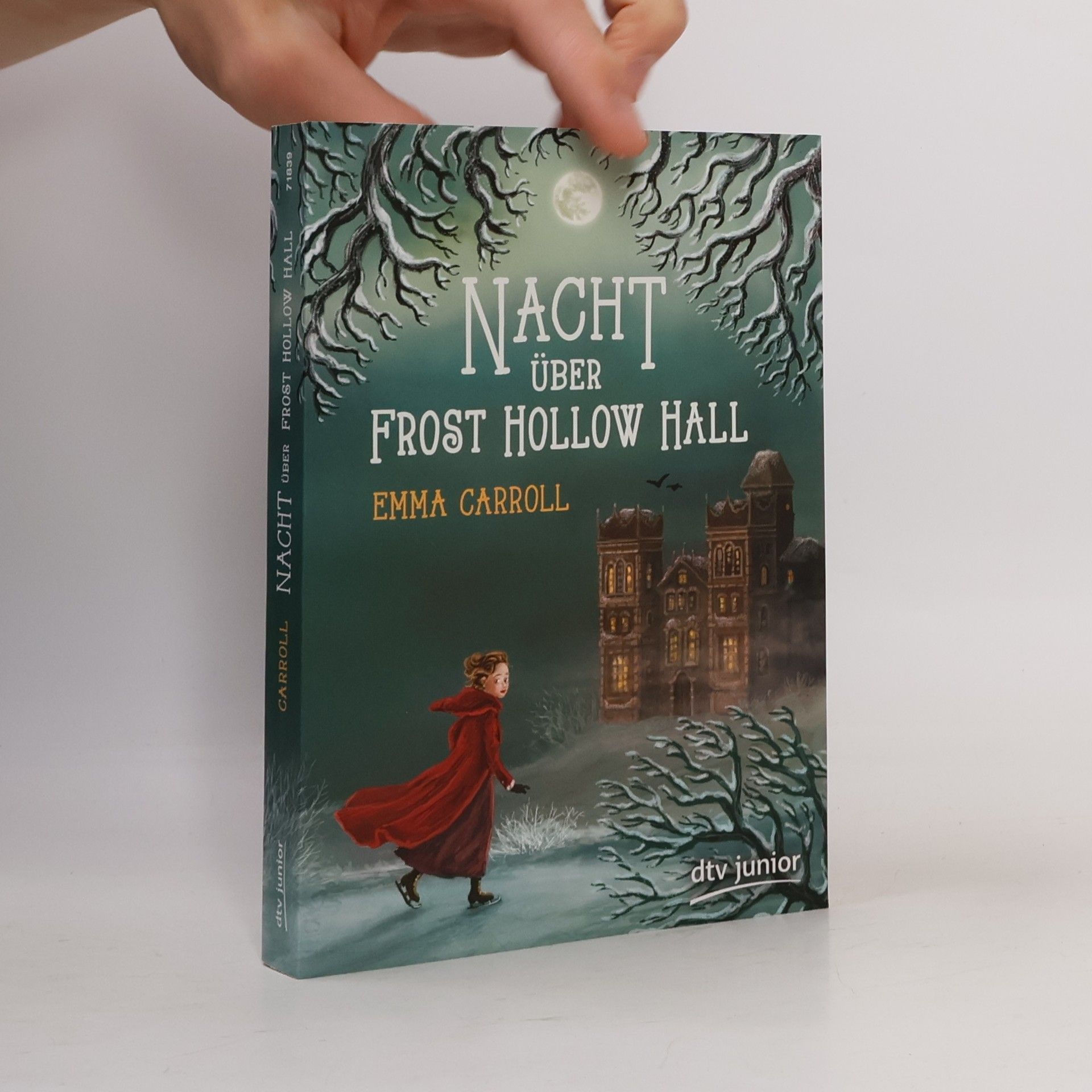 Emma Carroll Nacht über Frost Hollow Hall