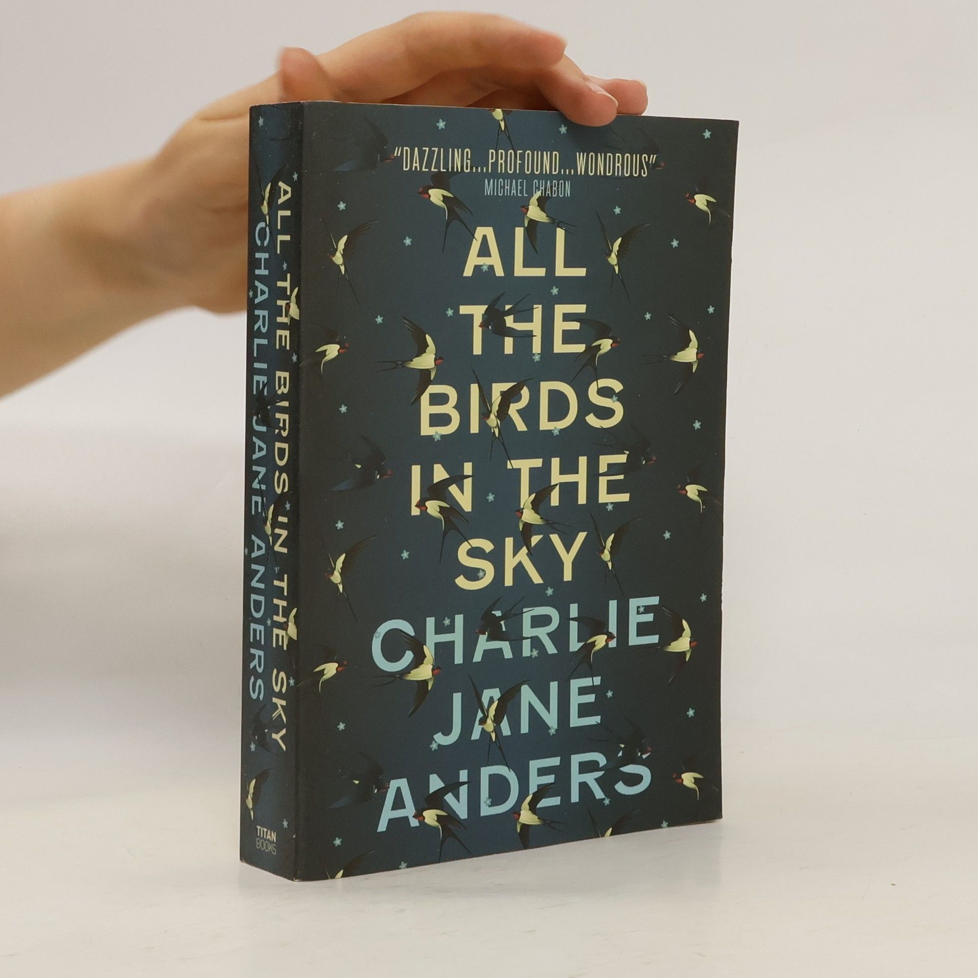 Charlie J. Anders All the Birds in the Sky