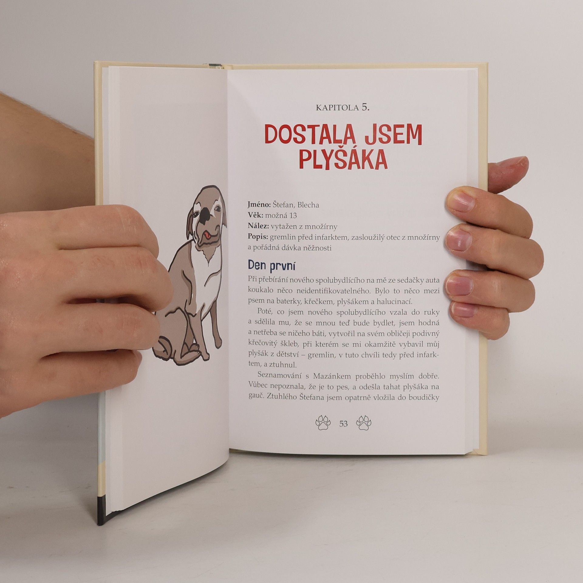 Olga Minaříková Z deníku dočaskářky