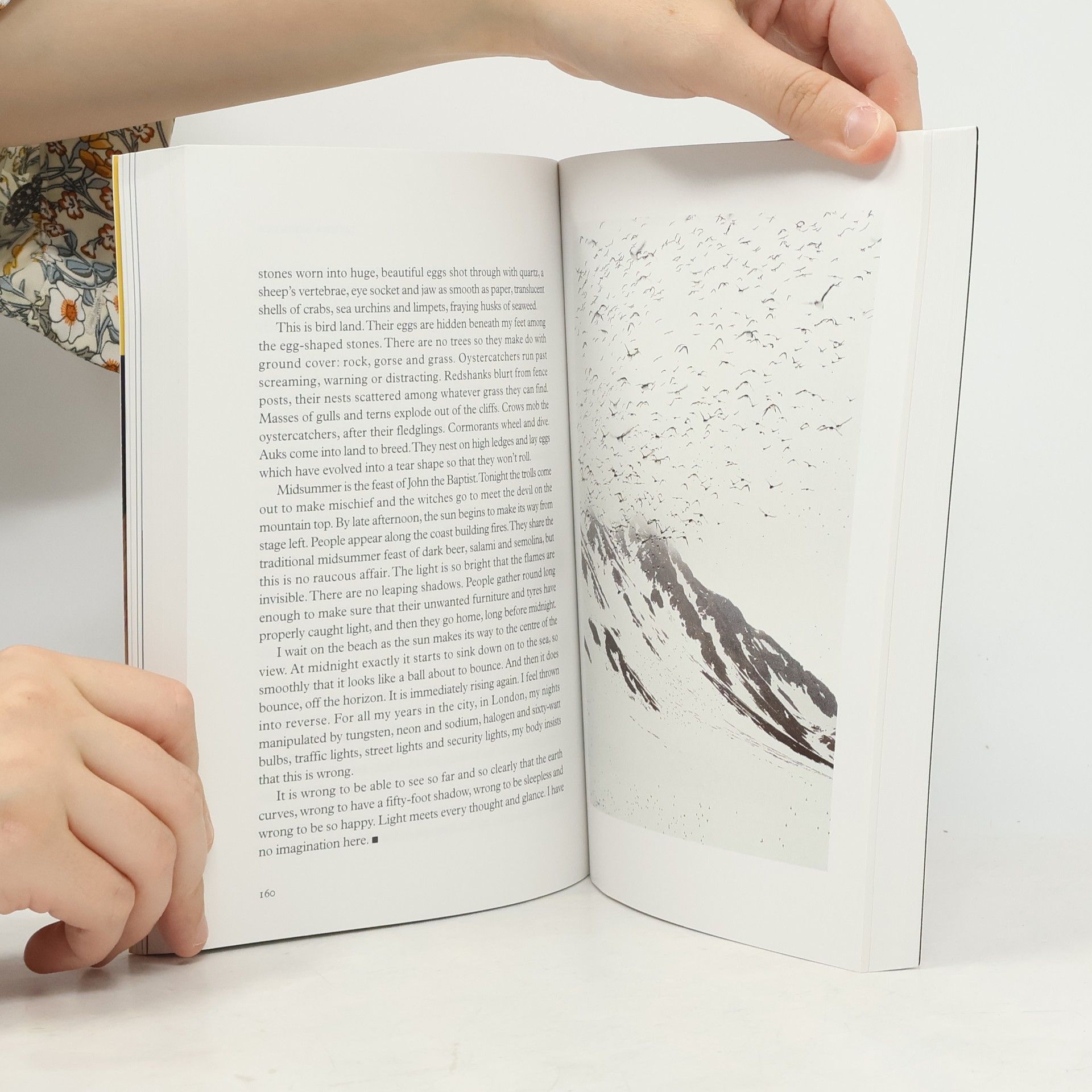 Autorenkollektiv Granta 101. The Magazine of New Writing