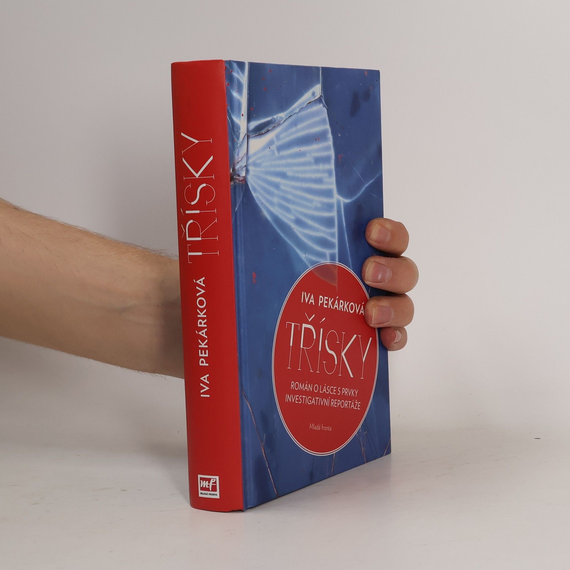 Třísky: Román o lásce s prvky investigativní reportáže