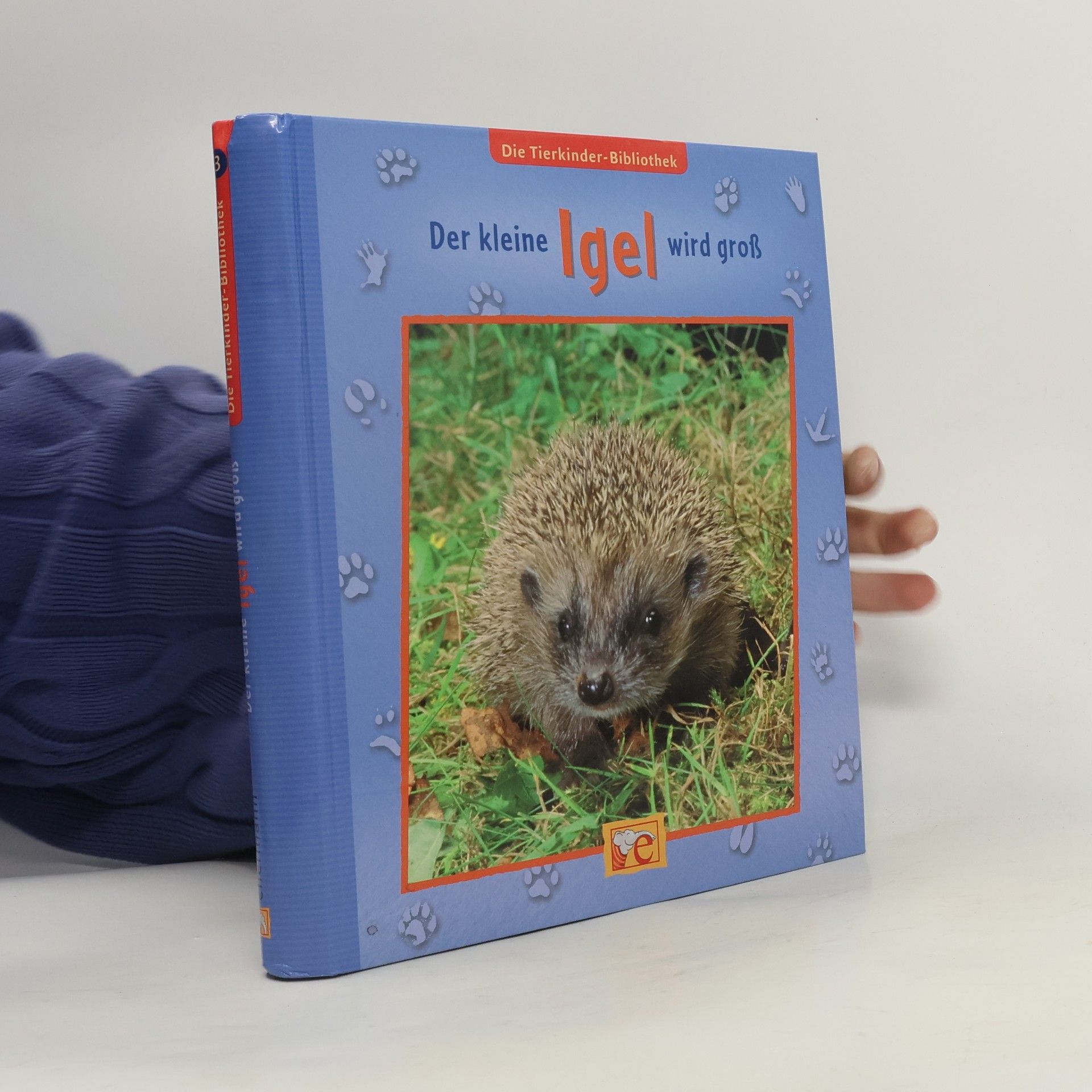Sandra Grimm Der kleine Igel wird groß