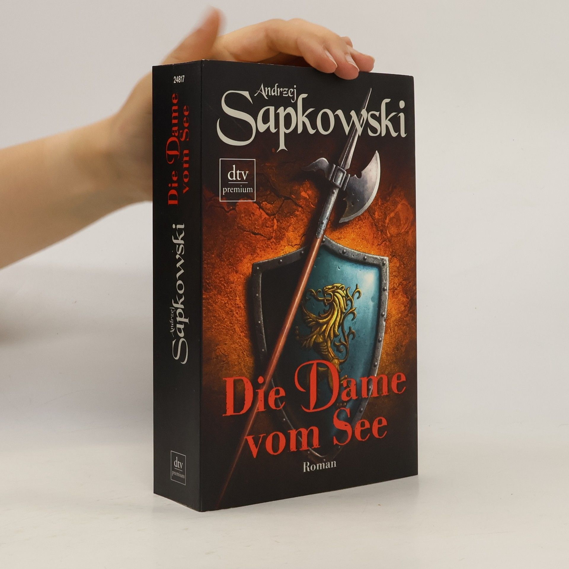 Andrzej Sapkowski Die Dame vom See