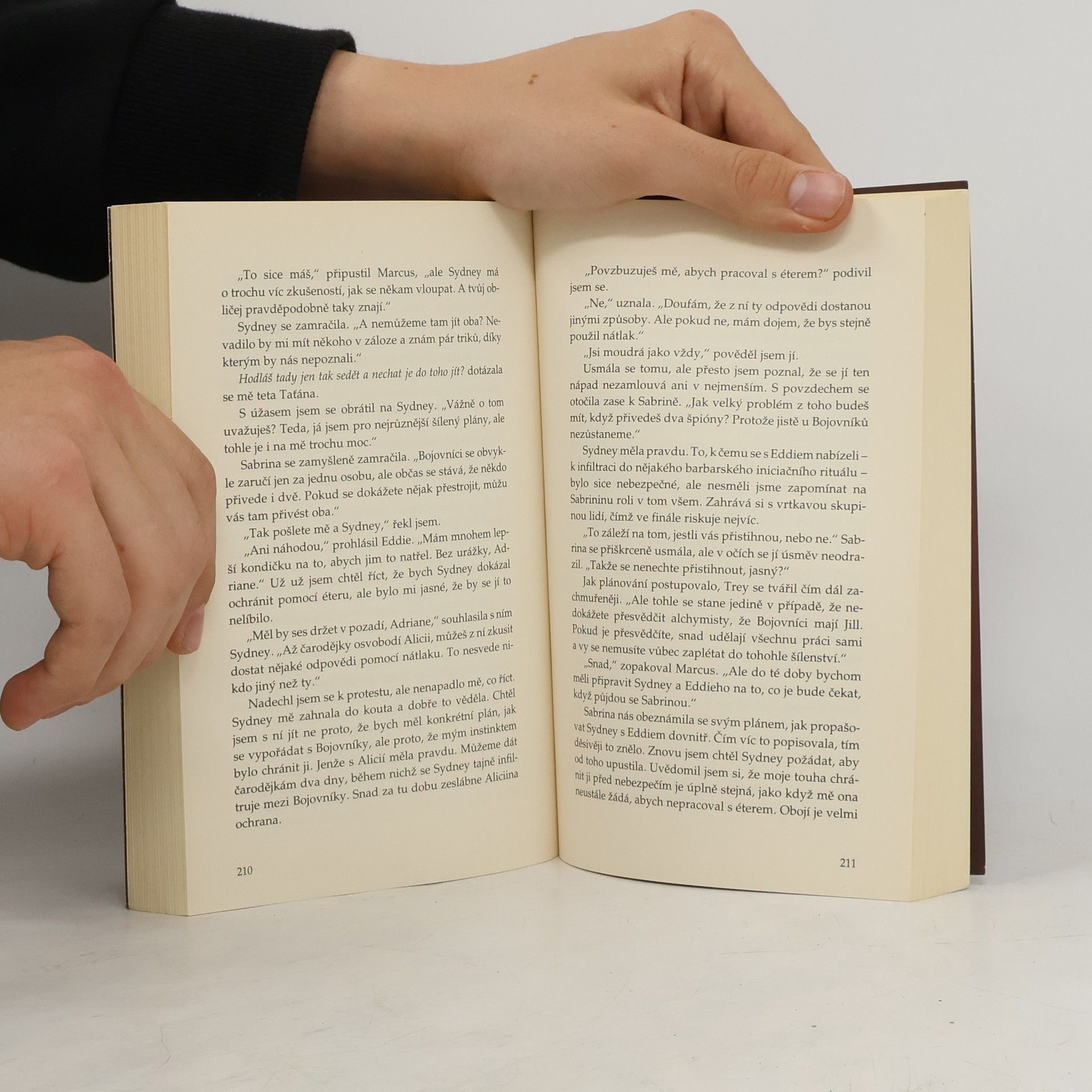 Richelle Mead Pokrevní pouta. 6, Rubínový kruh