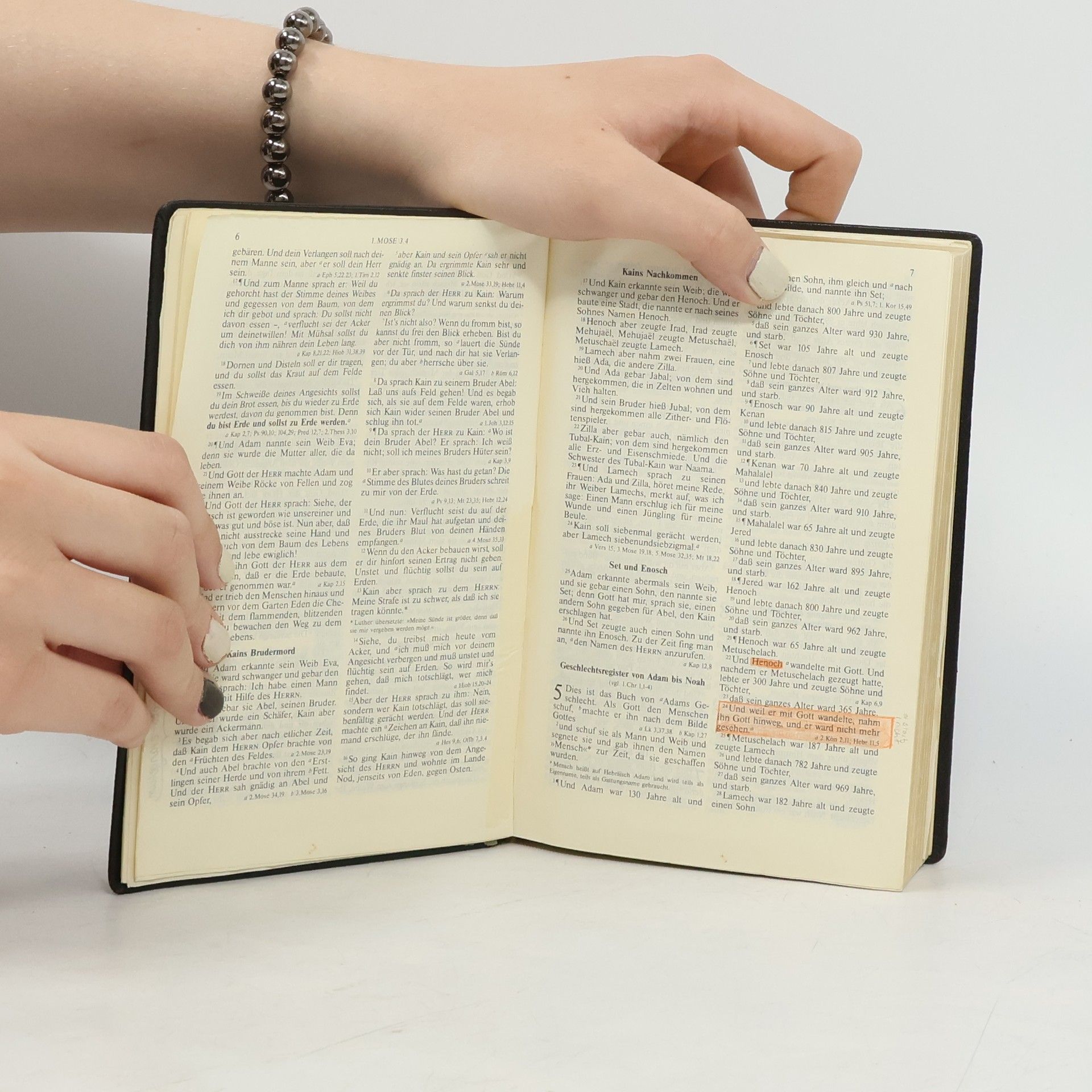 Autorenkollektiv Die Bibel