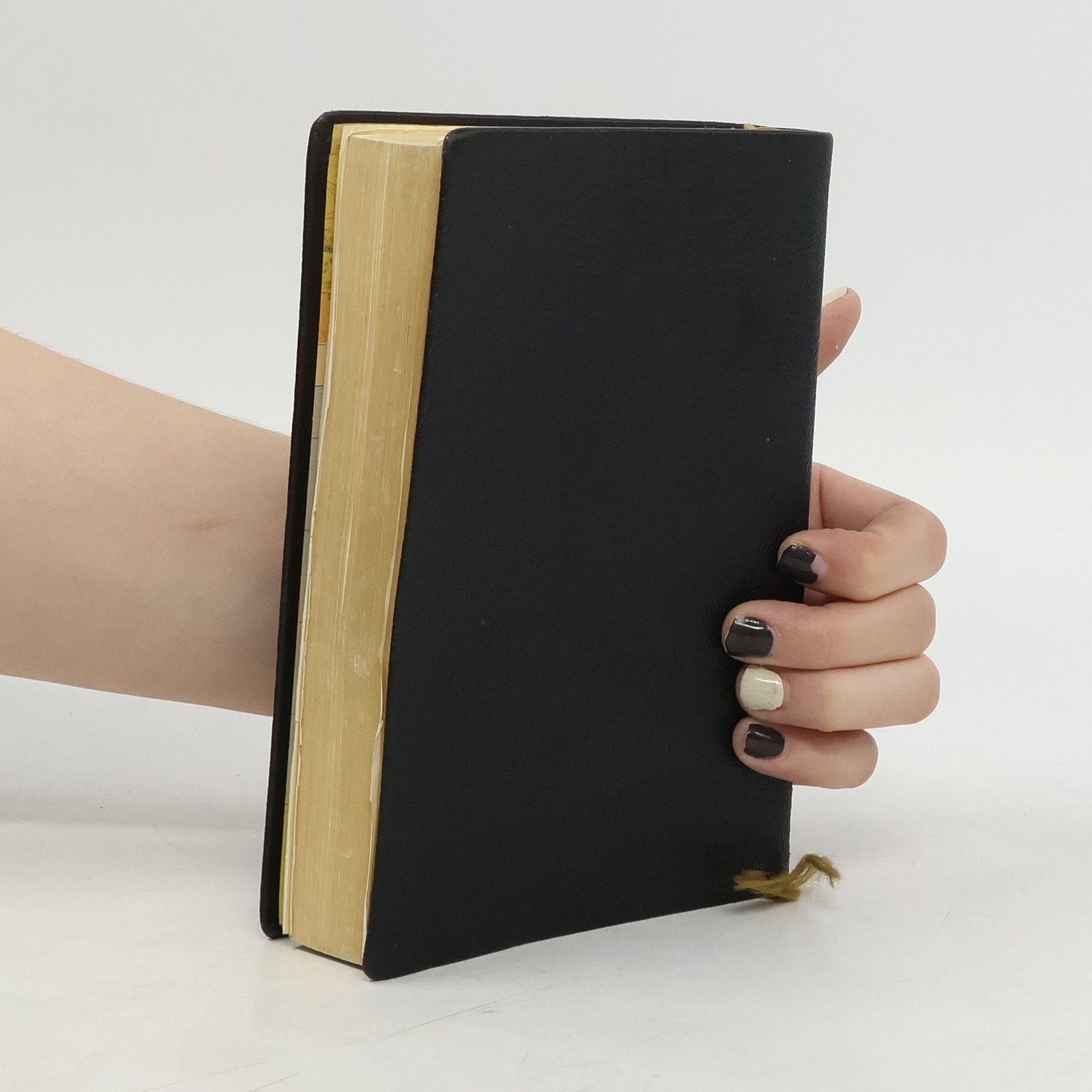 Autorenkollektiv Die Bibel