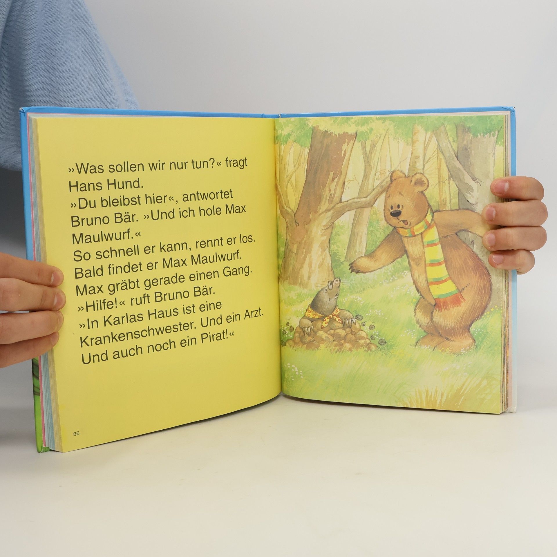 Collectif d'auteurs Karla Katze und ihre Freunde
