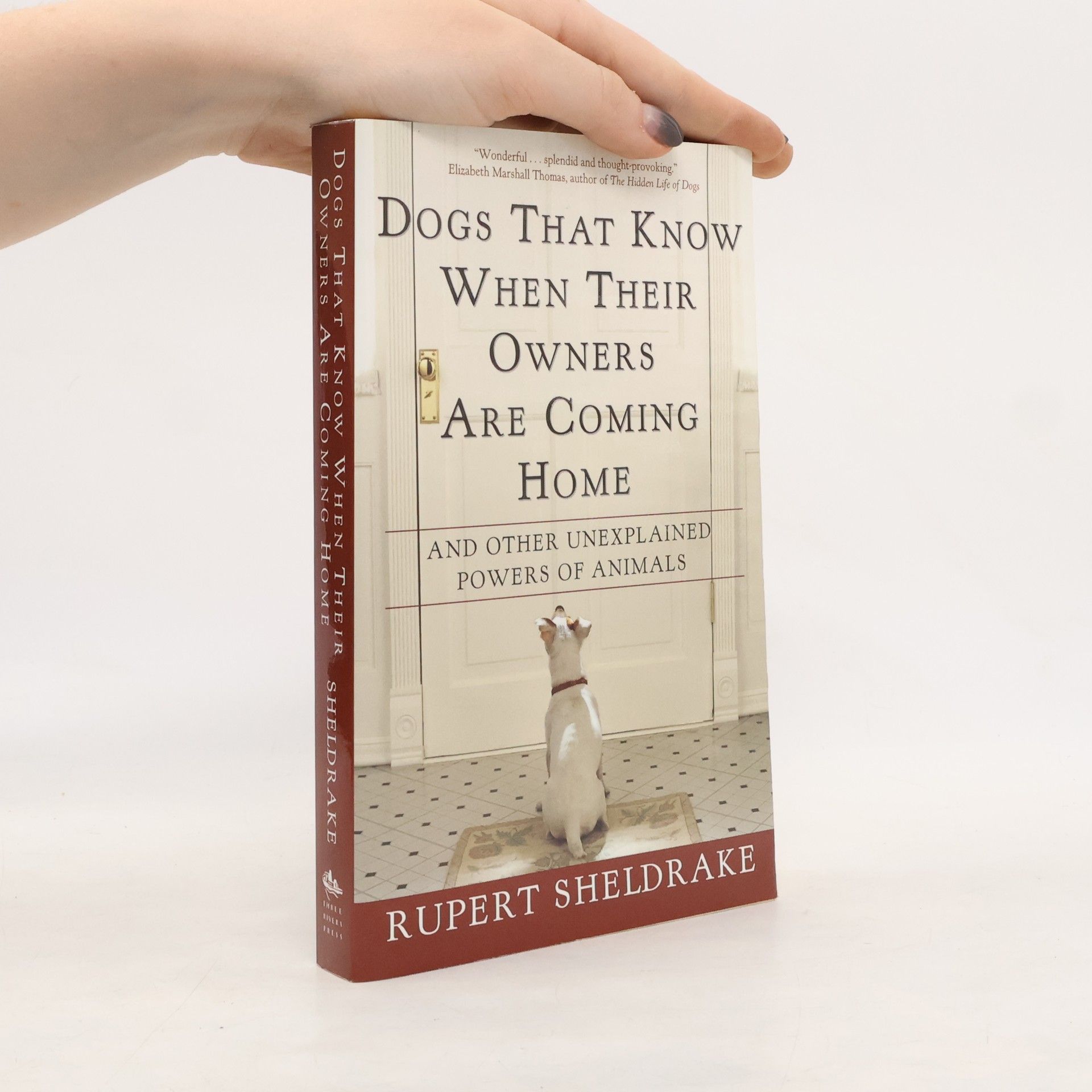 Rupert Sheldrake Dogs that Know when Their Owners are Coming Home