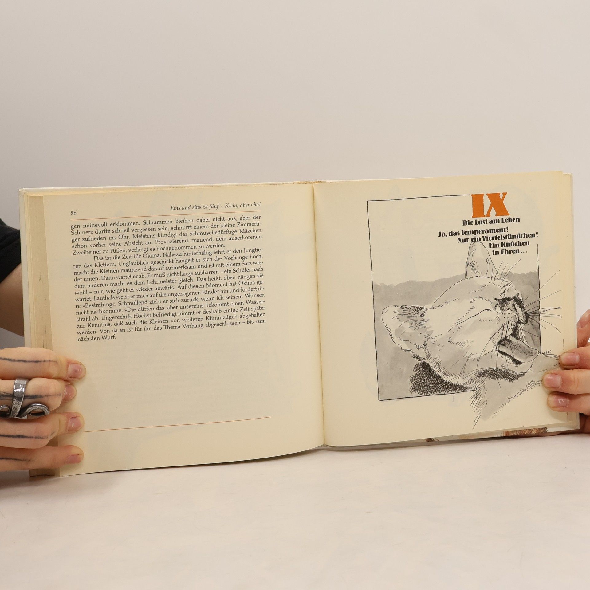 Margot Szymkowiak Katzensprache
