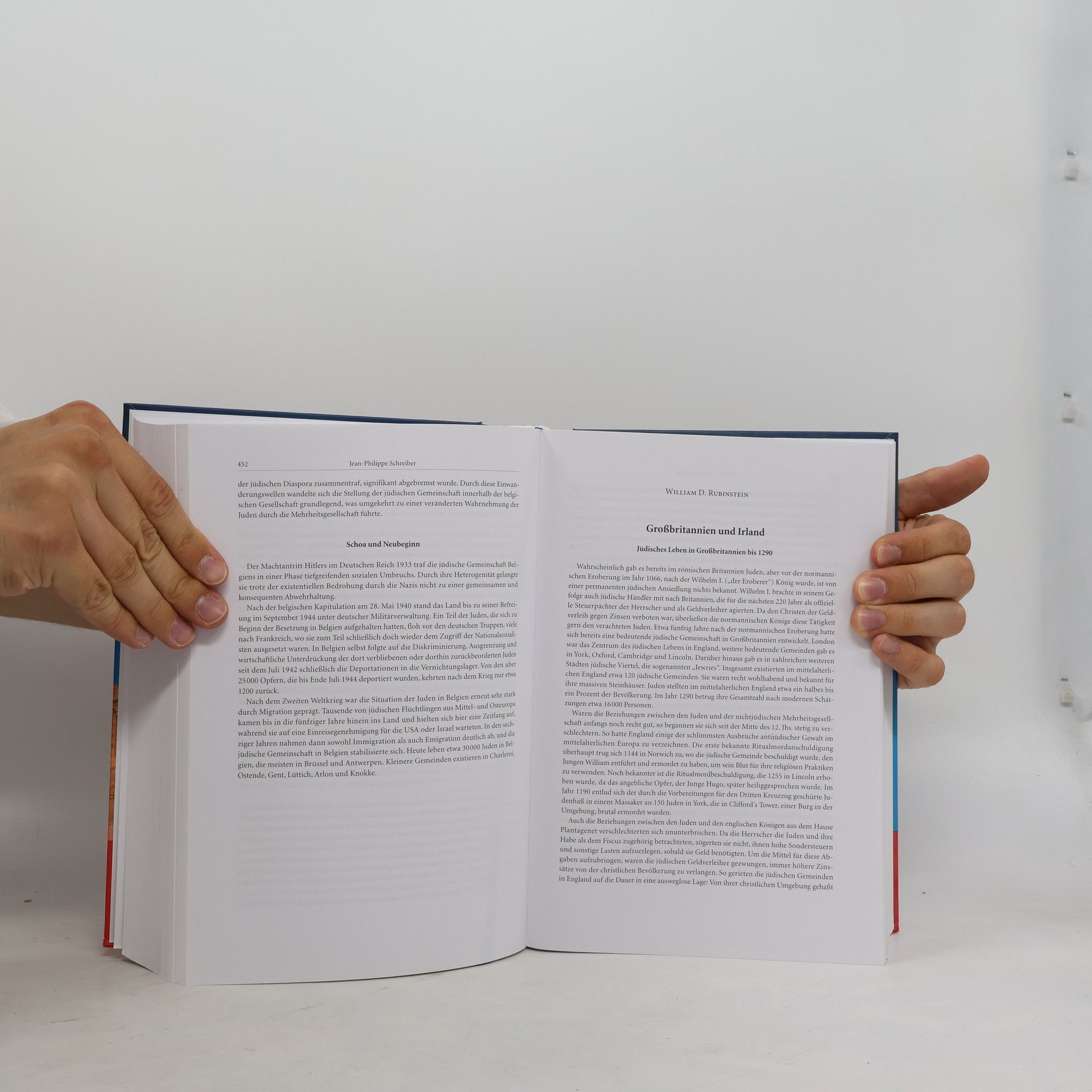 Elke-Vera Kotowski Handbuch zur Geschichte der Juden in Europa. (2 Bände in einem Buch). I: Länder und Regionen. II: Religion, Kultur, Alltag.