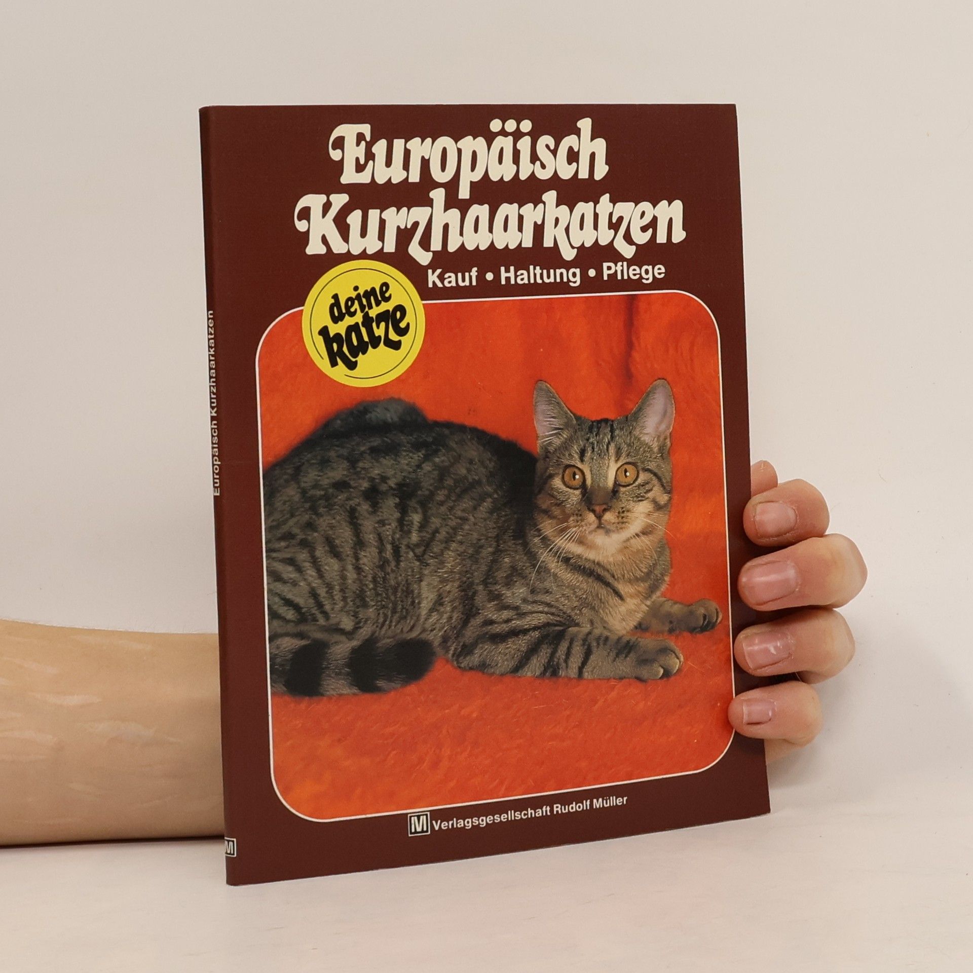Carola Ruff Europäische Kurzhaarkatzen